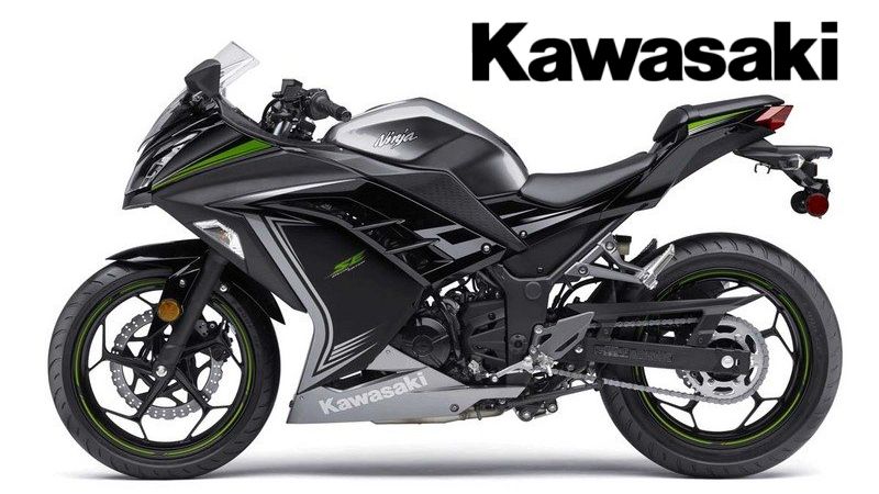 2015 Kawasaki Ninja 300 SE
