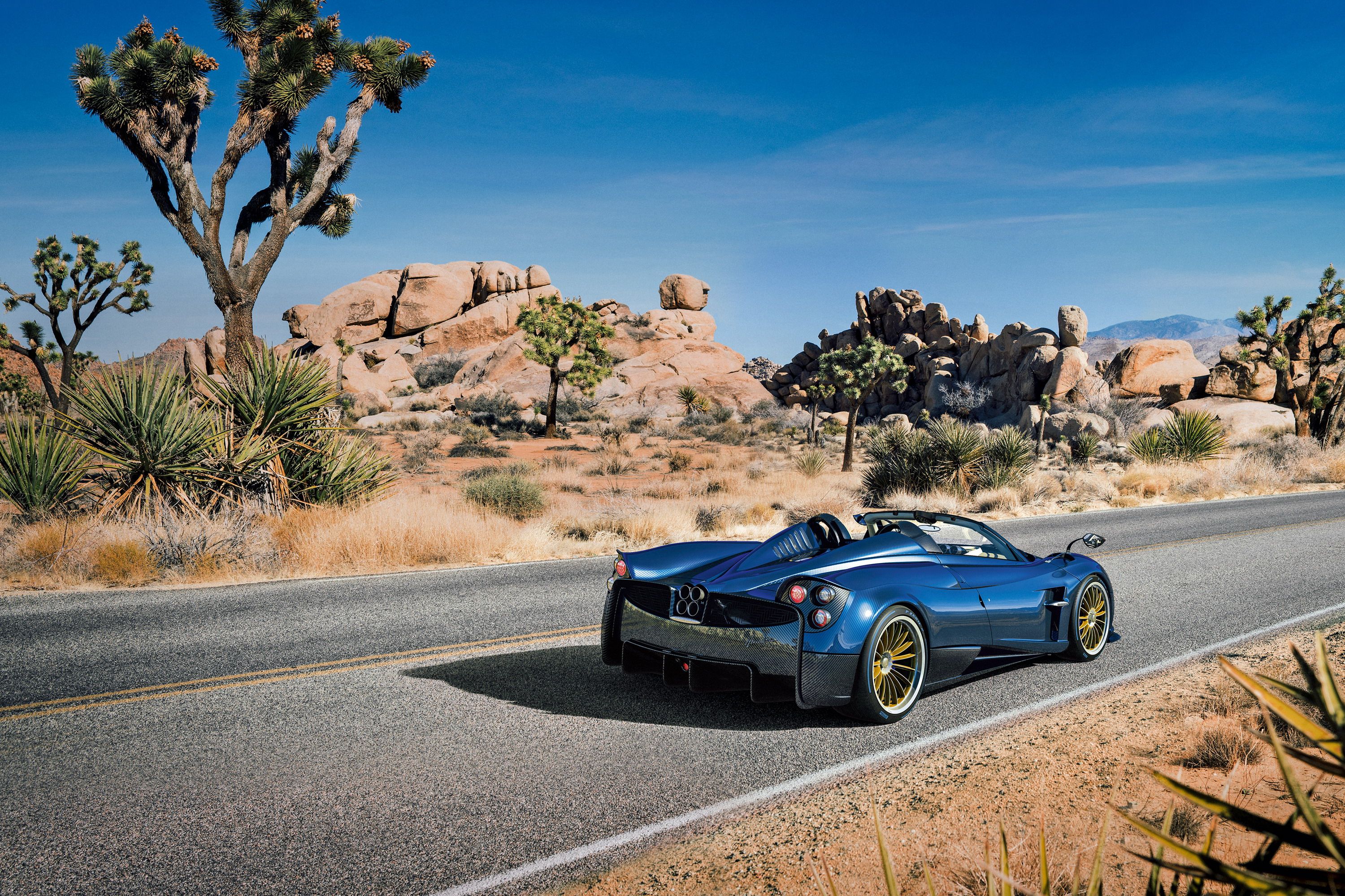 2019 Think You Know What's Next For Pagani? Think Again!
