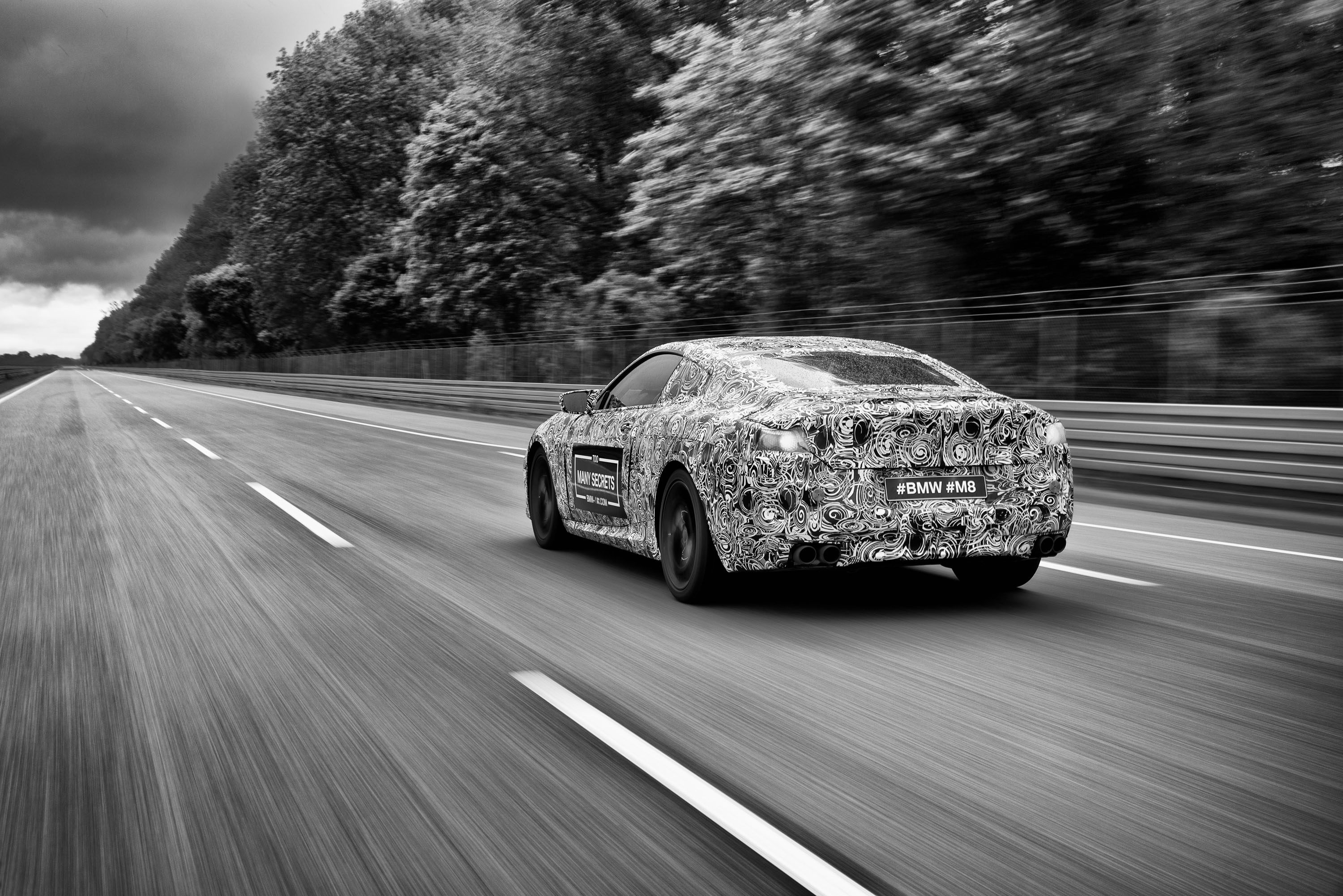 2019 BMW 8 Series