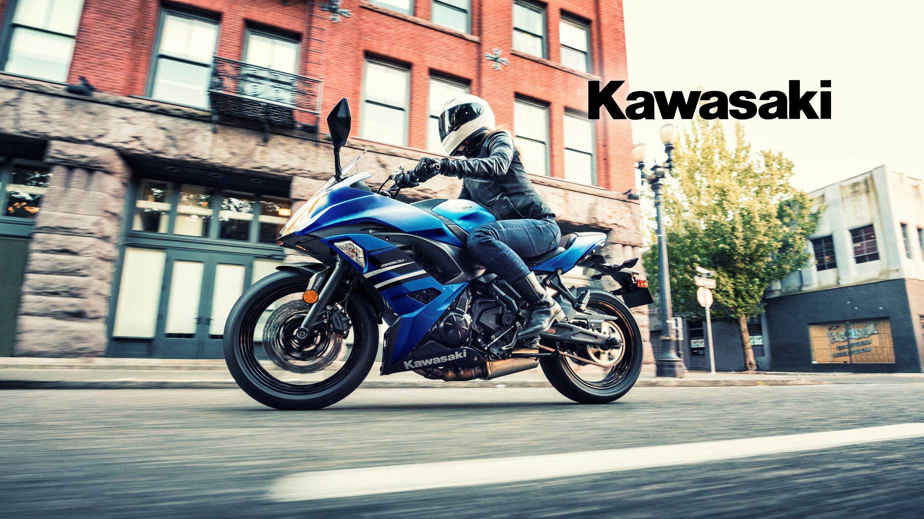 2017 - 2019 Kawasaki Ninja 650