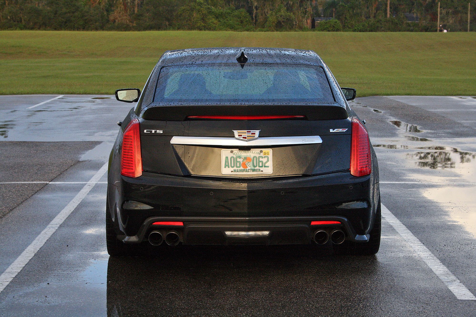 Sporty Rear End