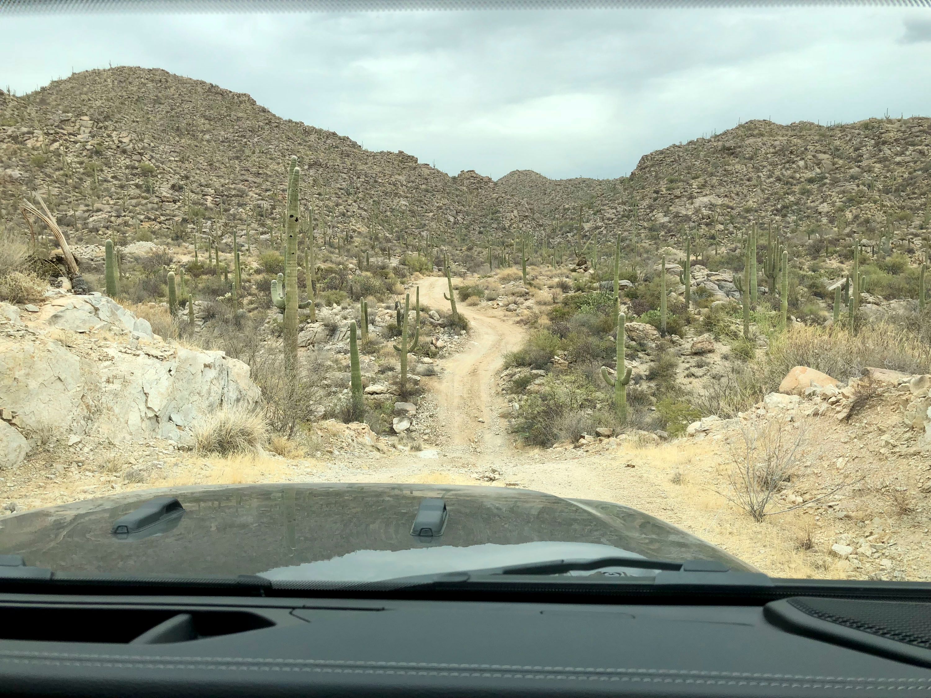 2018 Jeep Wrangler JL - First Look