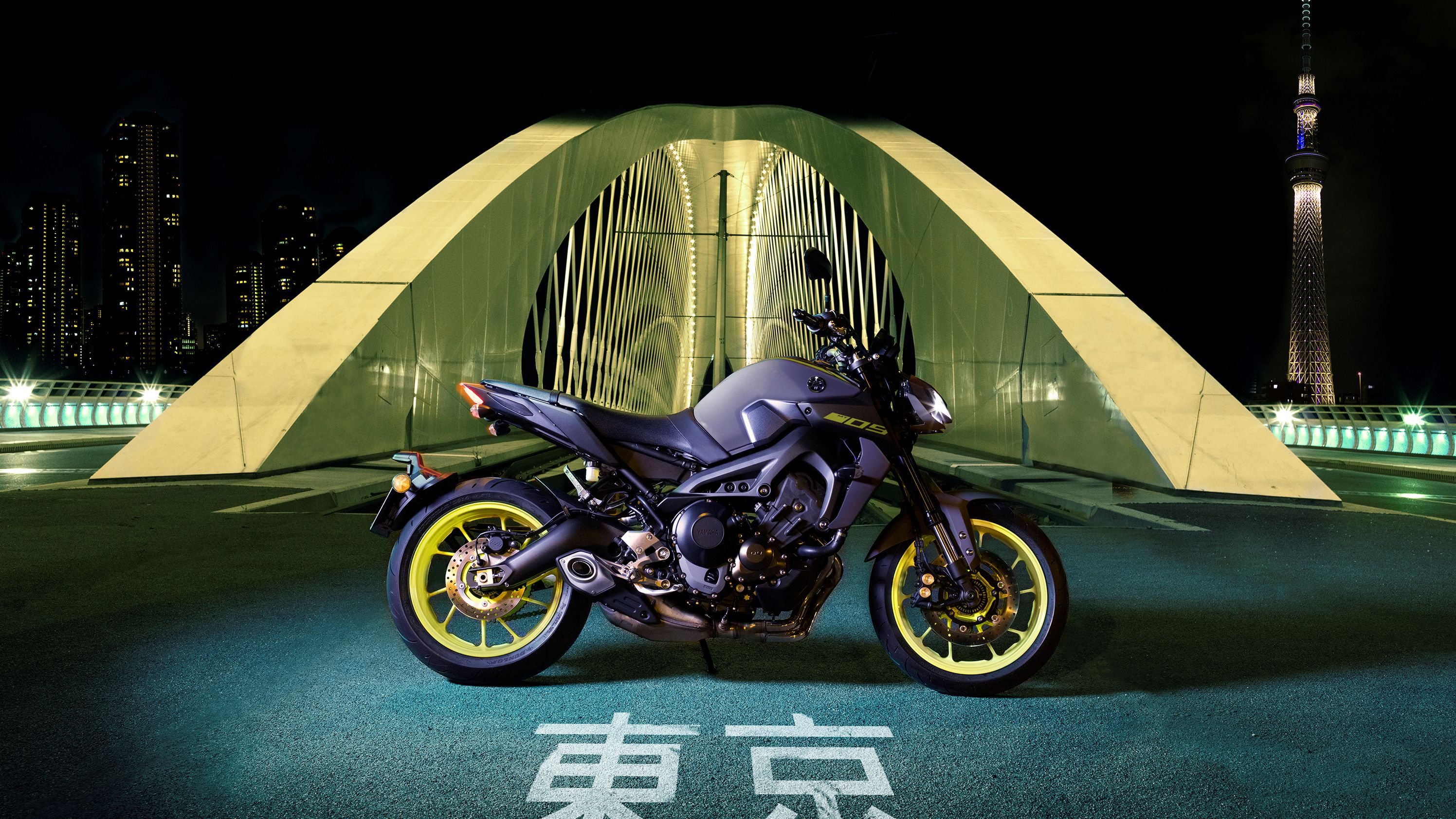 2018 - 2020 Yamaha MT-09