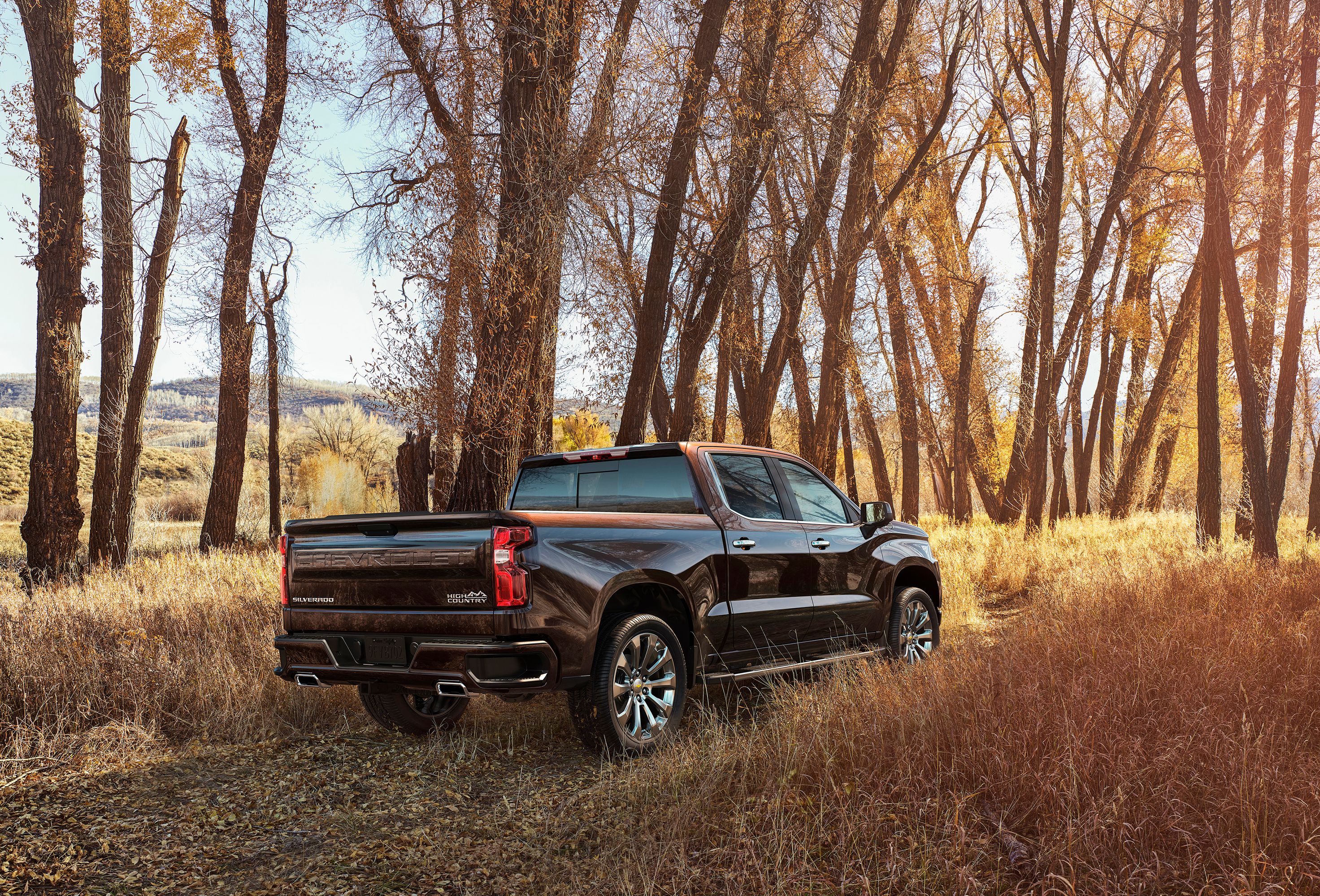 2019 Chevrolet Silverado