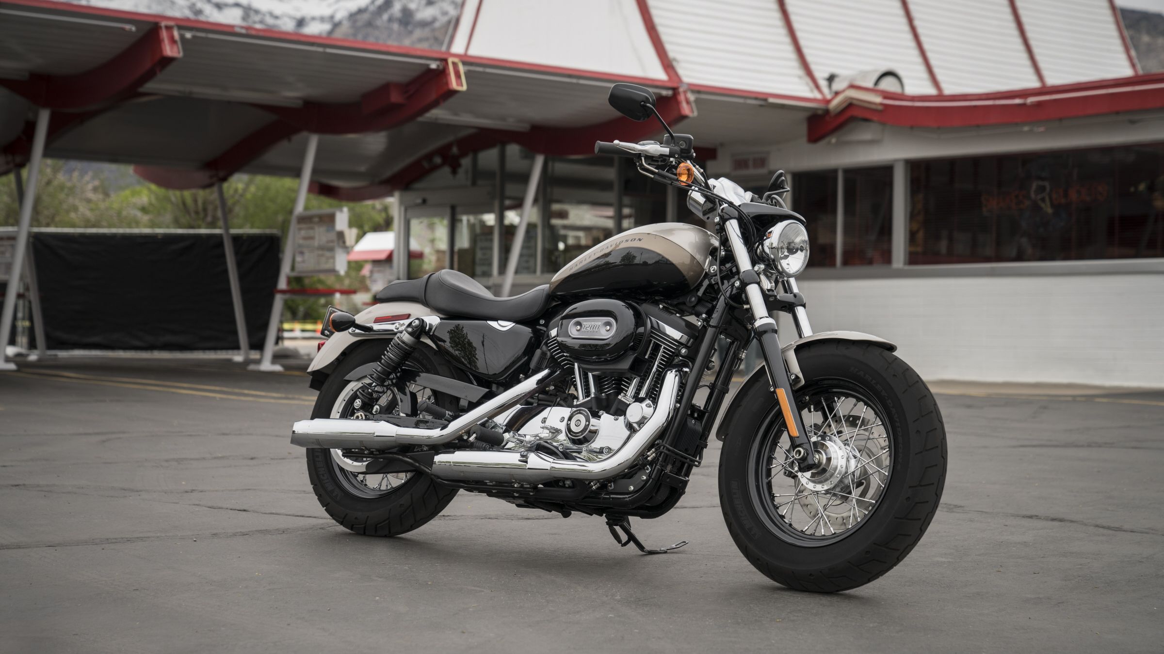 2015 - 2019 Harley-Davidson Sportster 1200 Custom