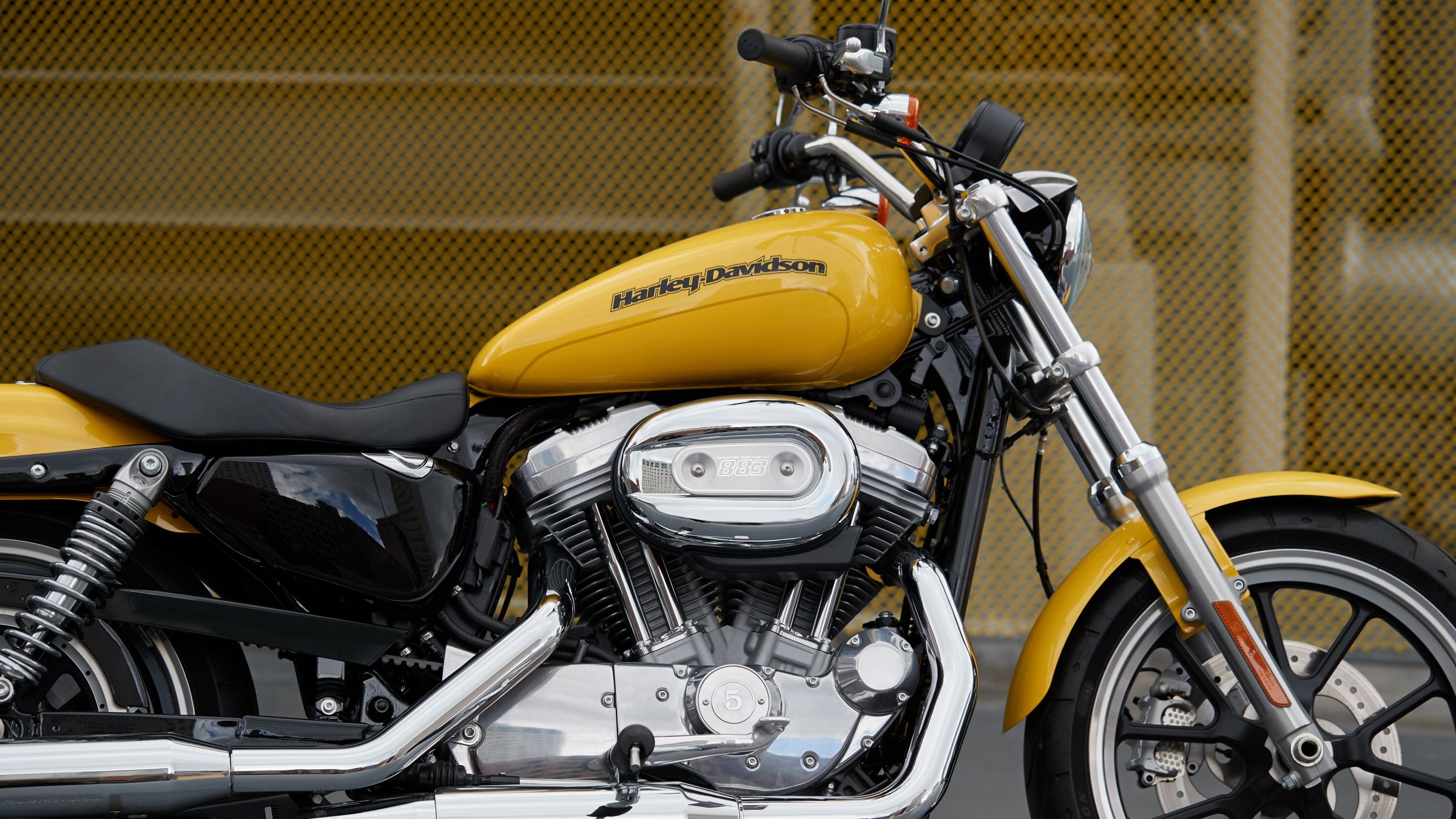 Harley davidson sportster store super low