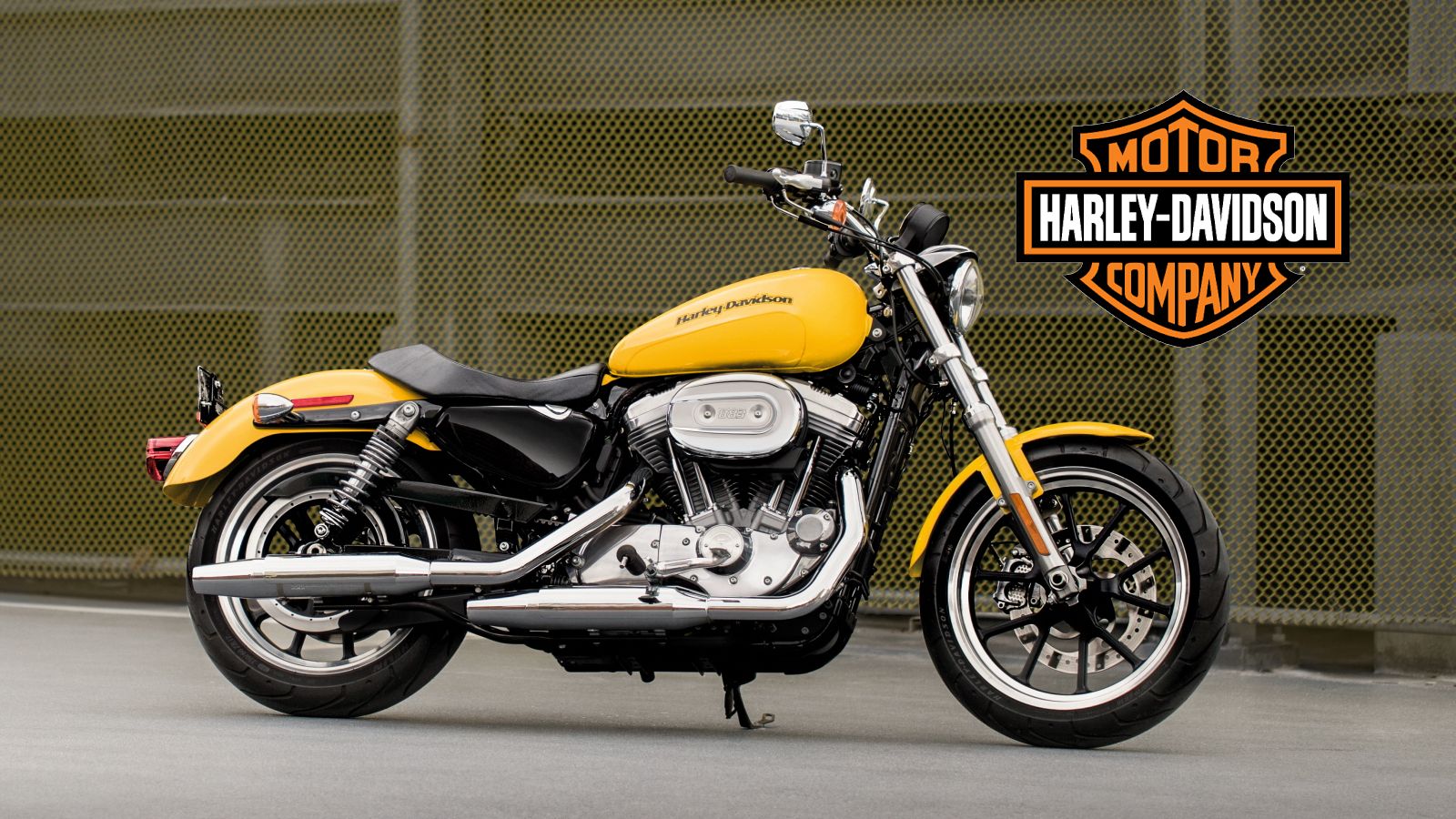 2015 - 2019 Harley-Davidson SuperLow