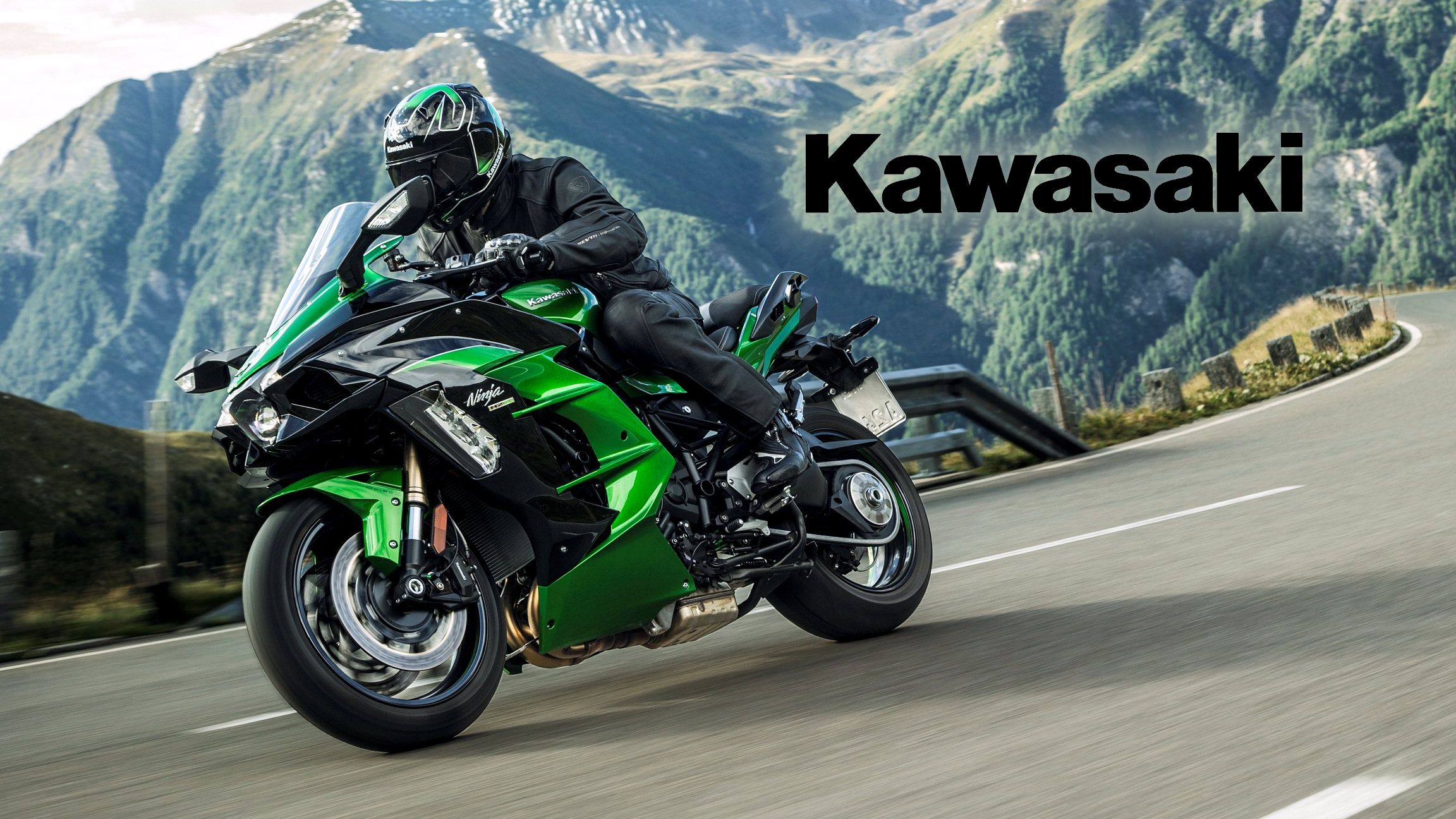 2018 - 2019 Kawasaki Ninja H2 SX / H2 SX SE