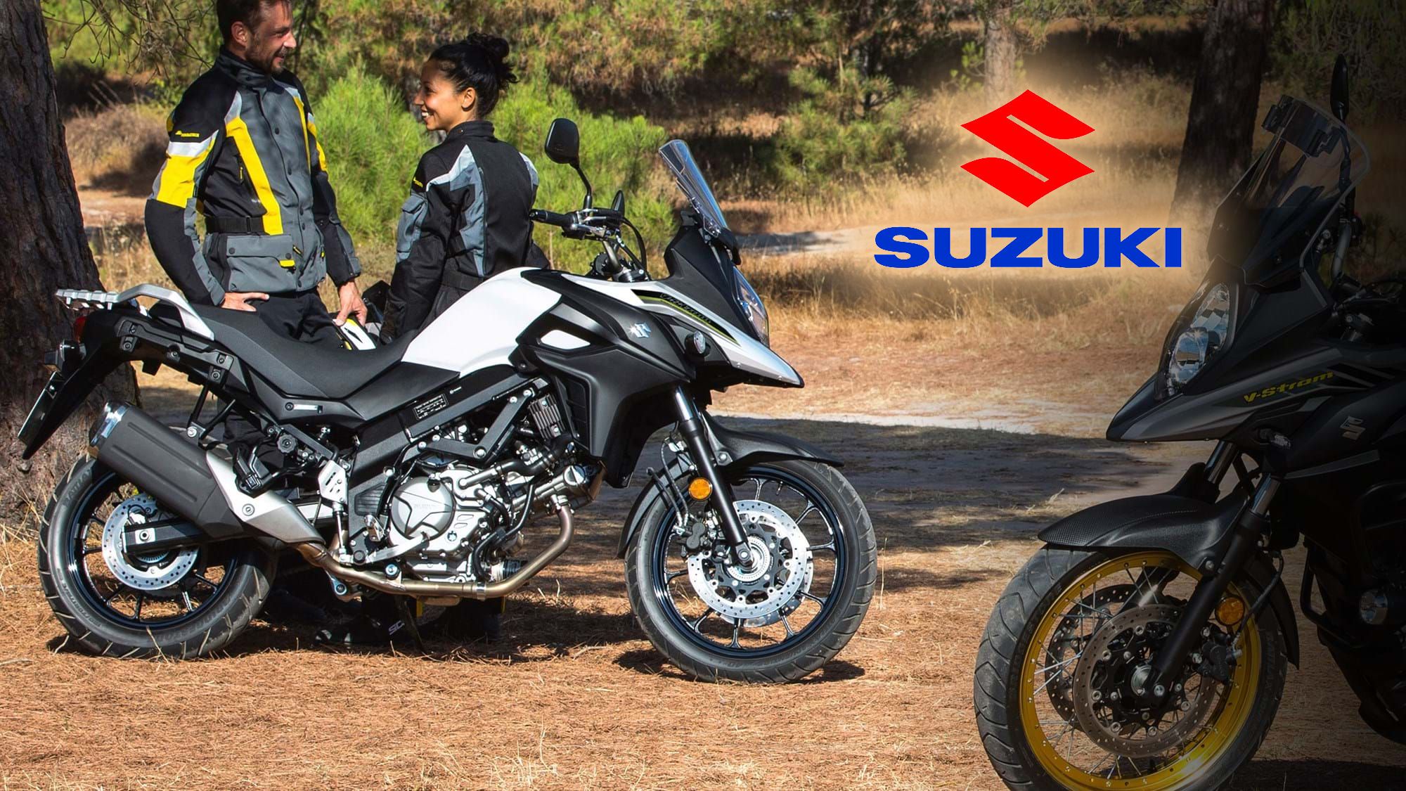 2017 - 2020 Suzuki V-Strom 650 / V-Strom 650XT