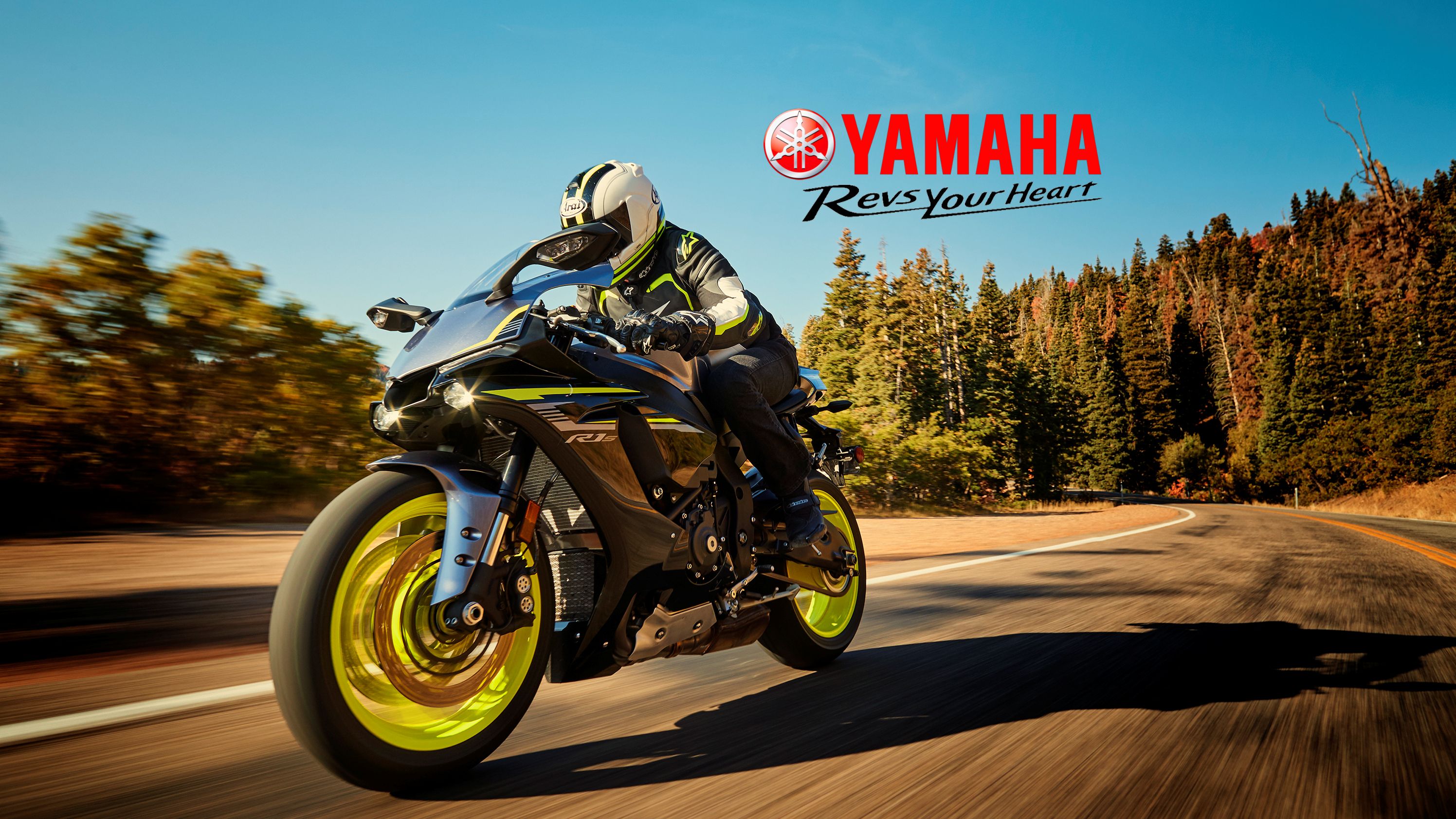 2016 - 2017 Yamaha YZF-R1 / YZF-R1S / YZF-R1M