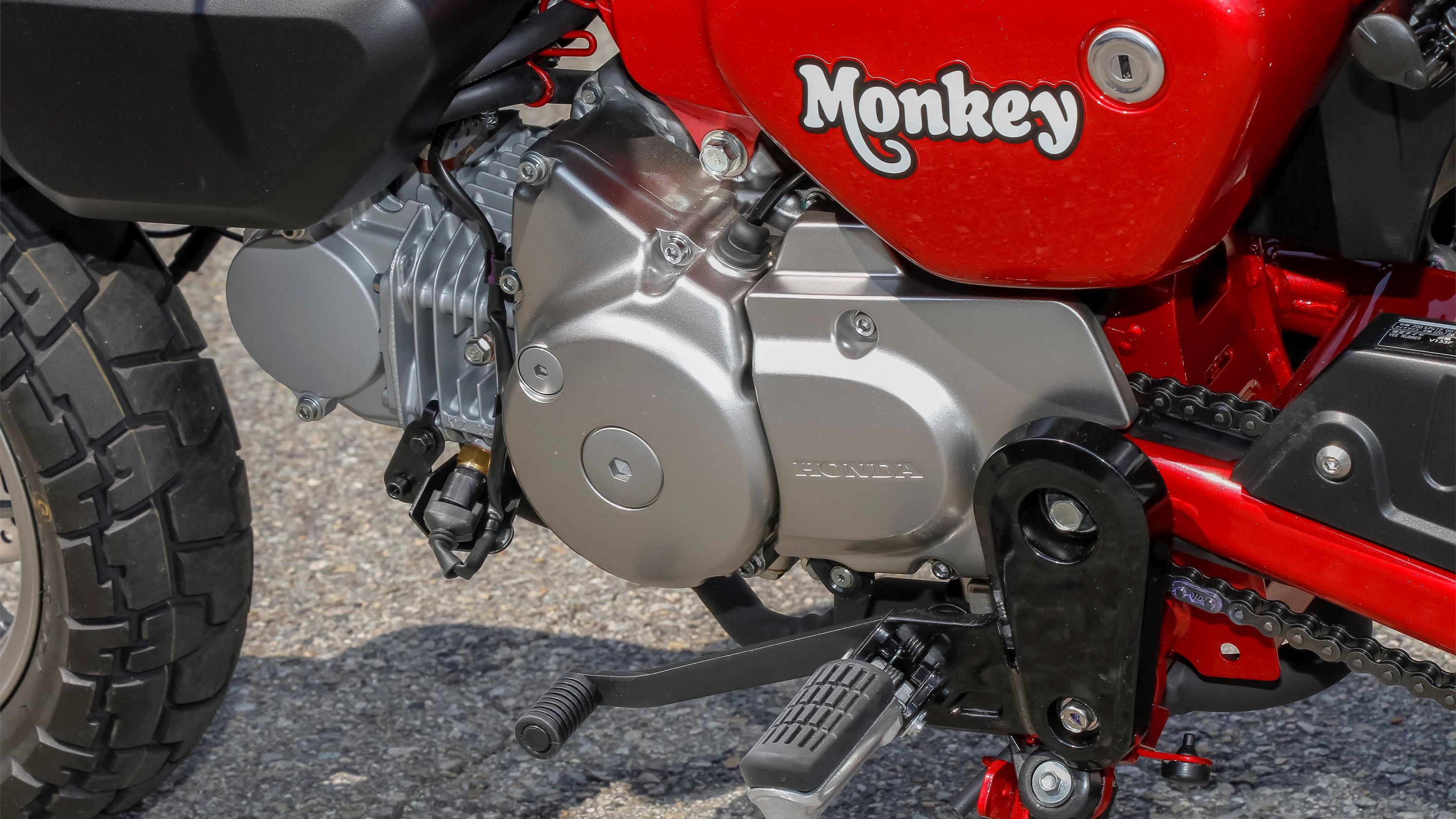 2018 - 2020 Honda Monkey