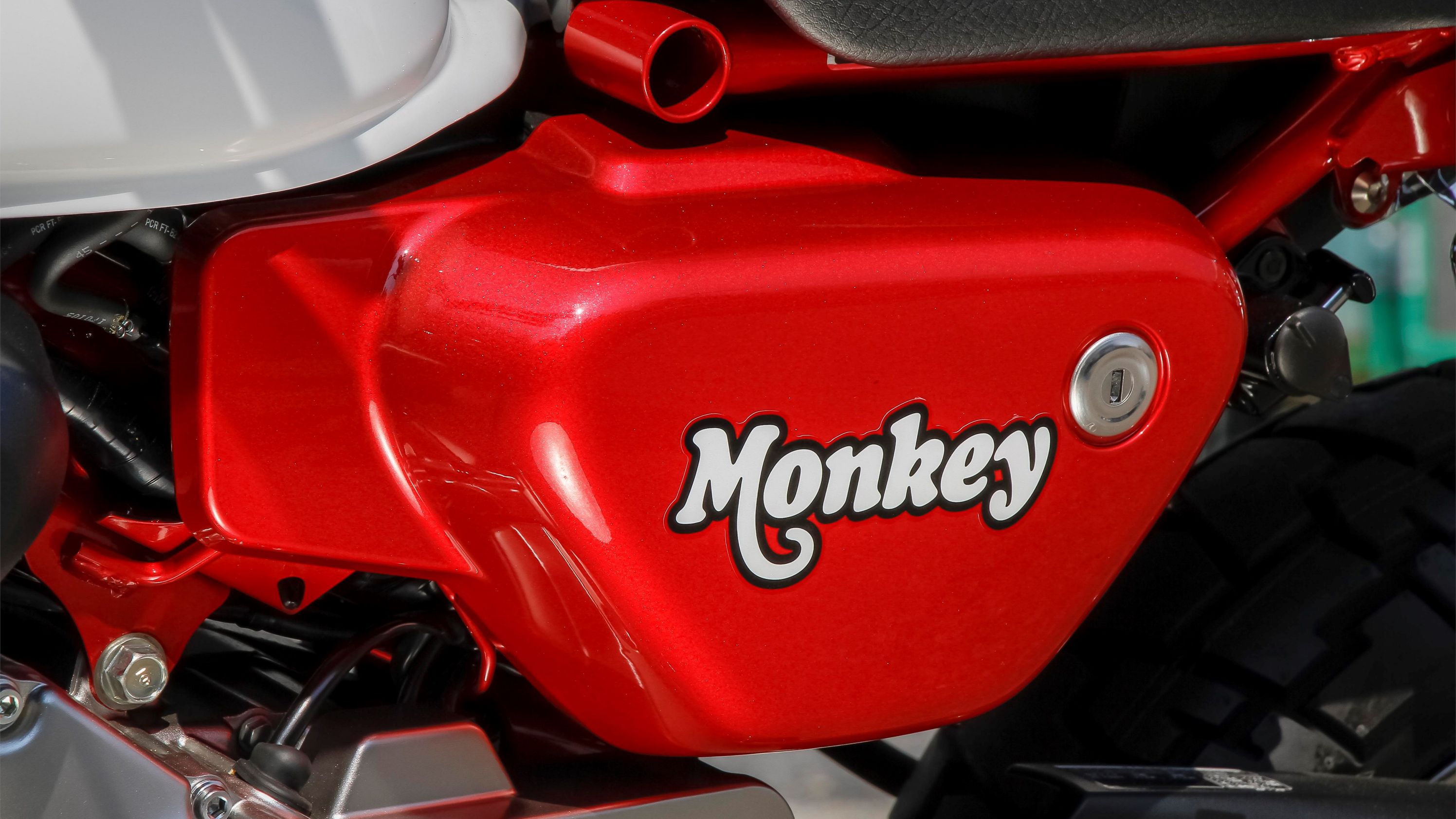 2018 - 2020 Honda Monkey