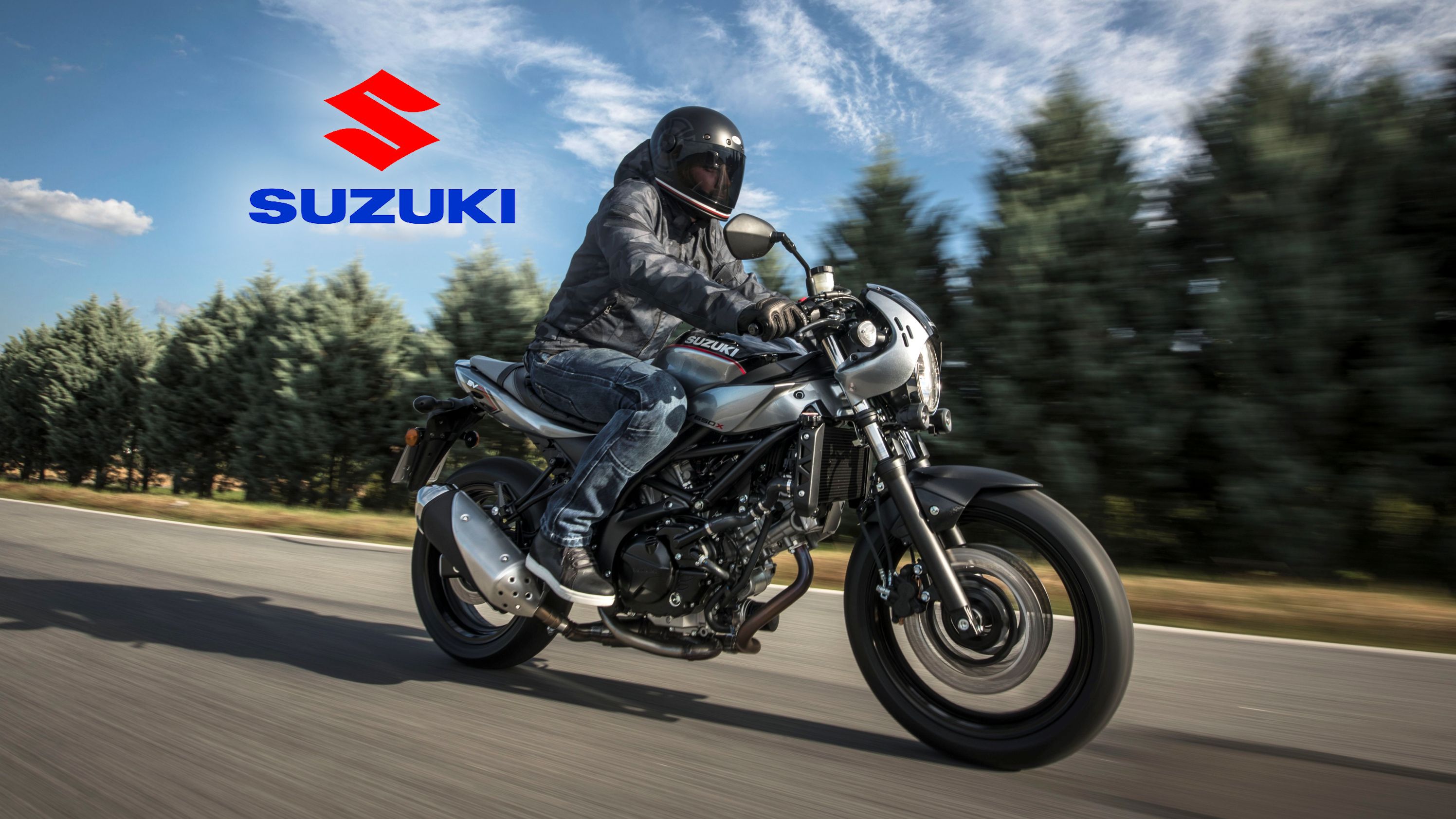 2018 - 2020 Suzuki SV650X