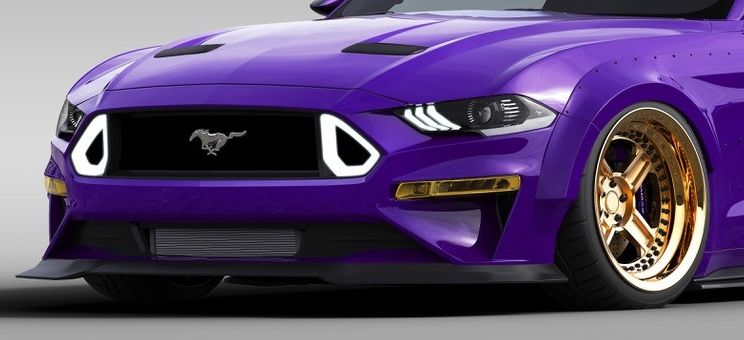 2018 Ford EcoBoost Mustang TJIN Edition