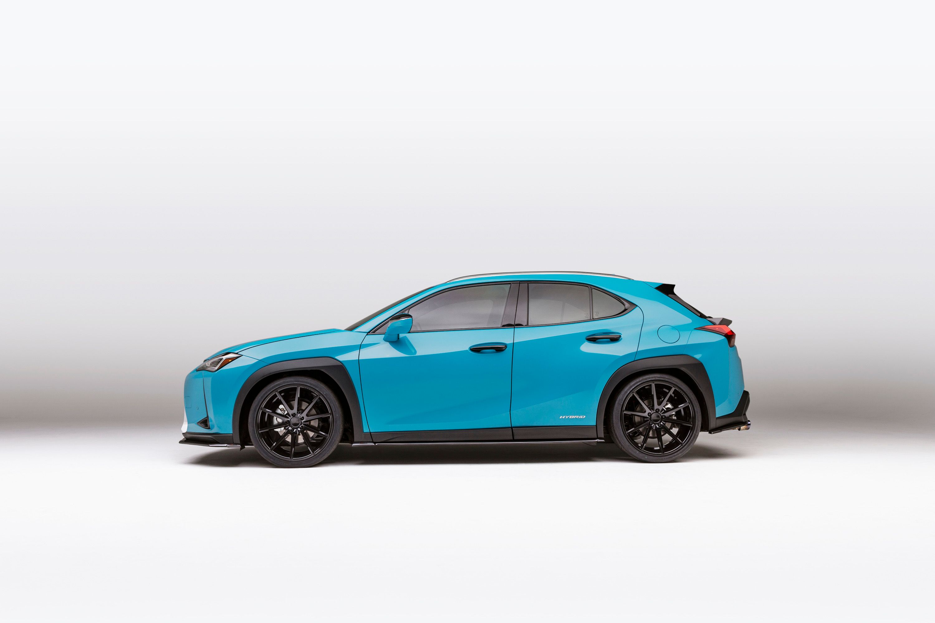 2019 Lexus UX 250h Custom