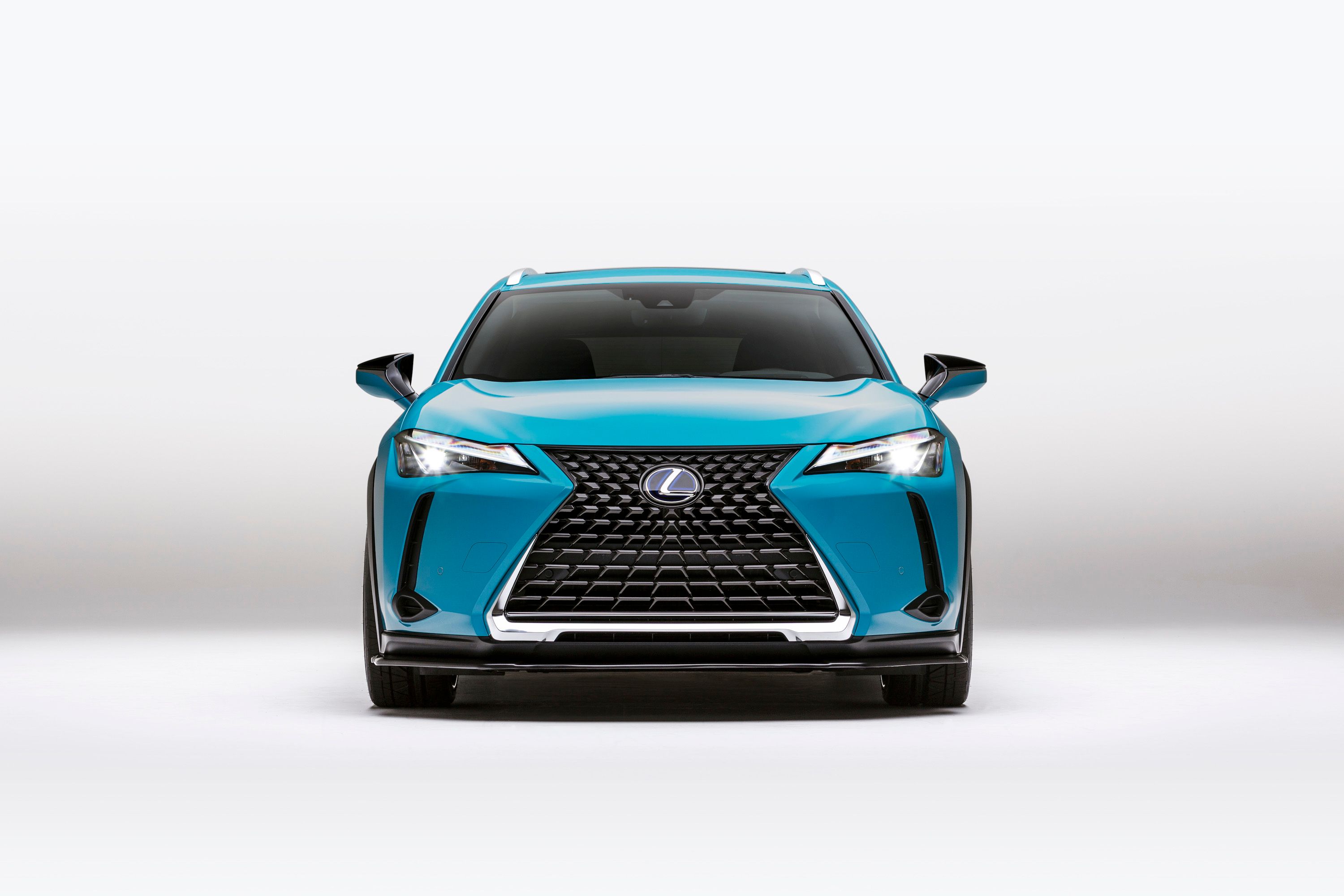 2019 Lexus UX 250h Custom