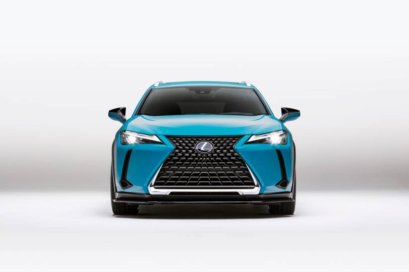 2019 Lexus UX 250h Custom
