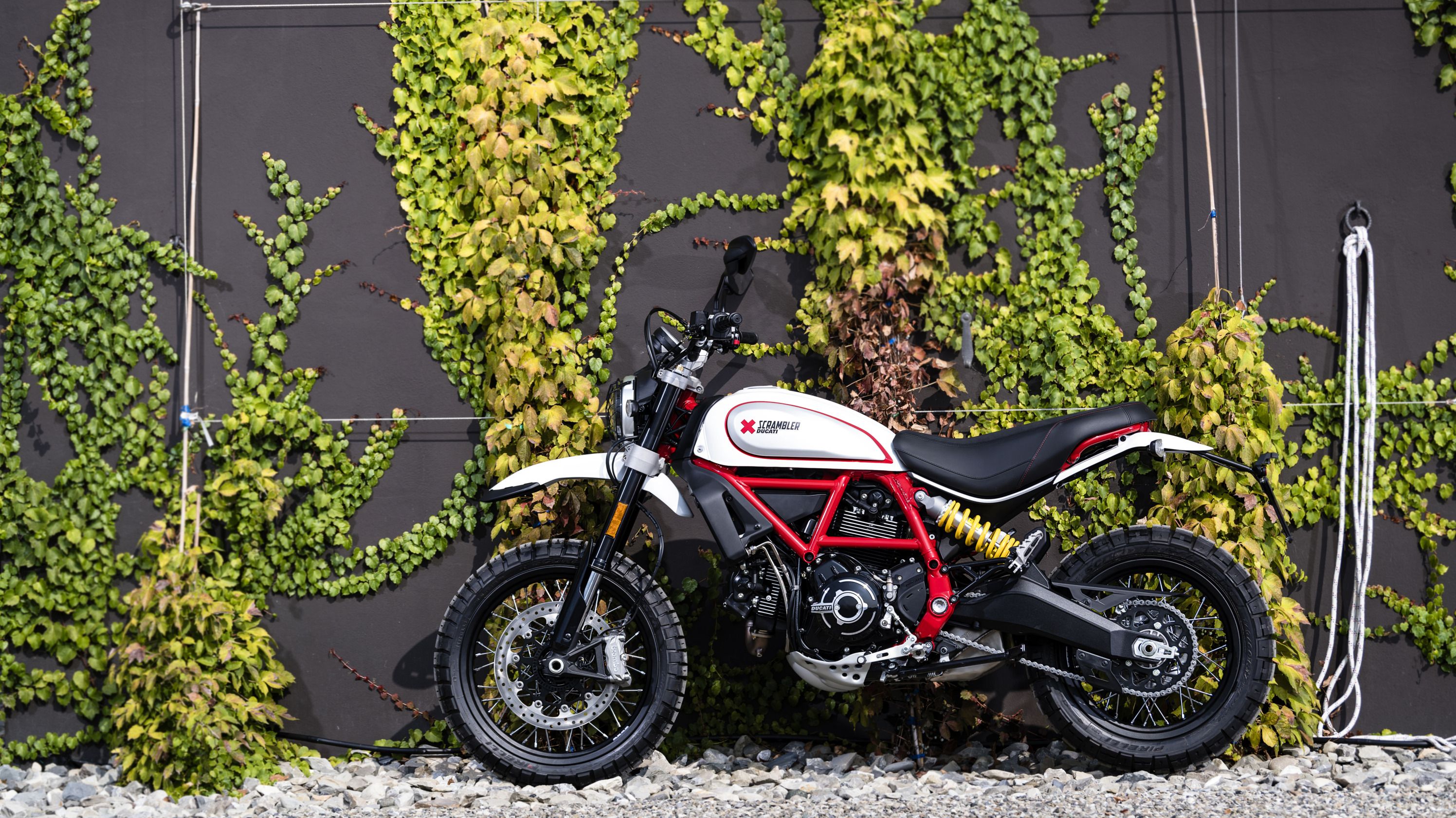 Ducati scrambler desert clearance sled 2020