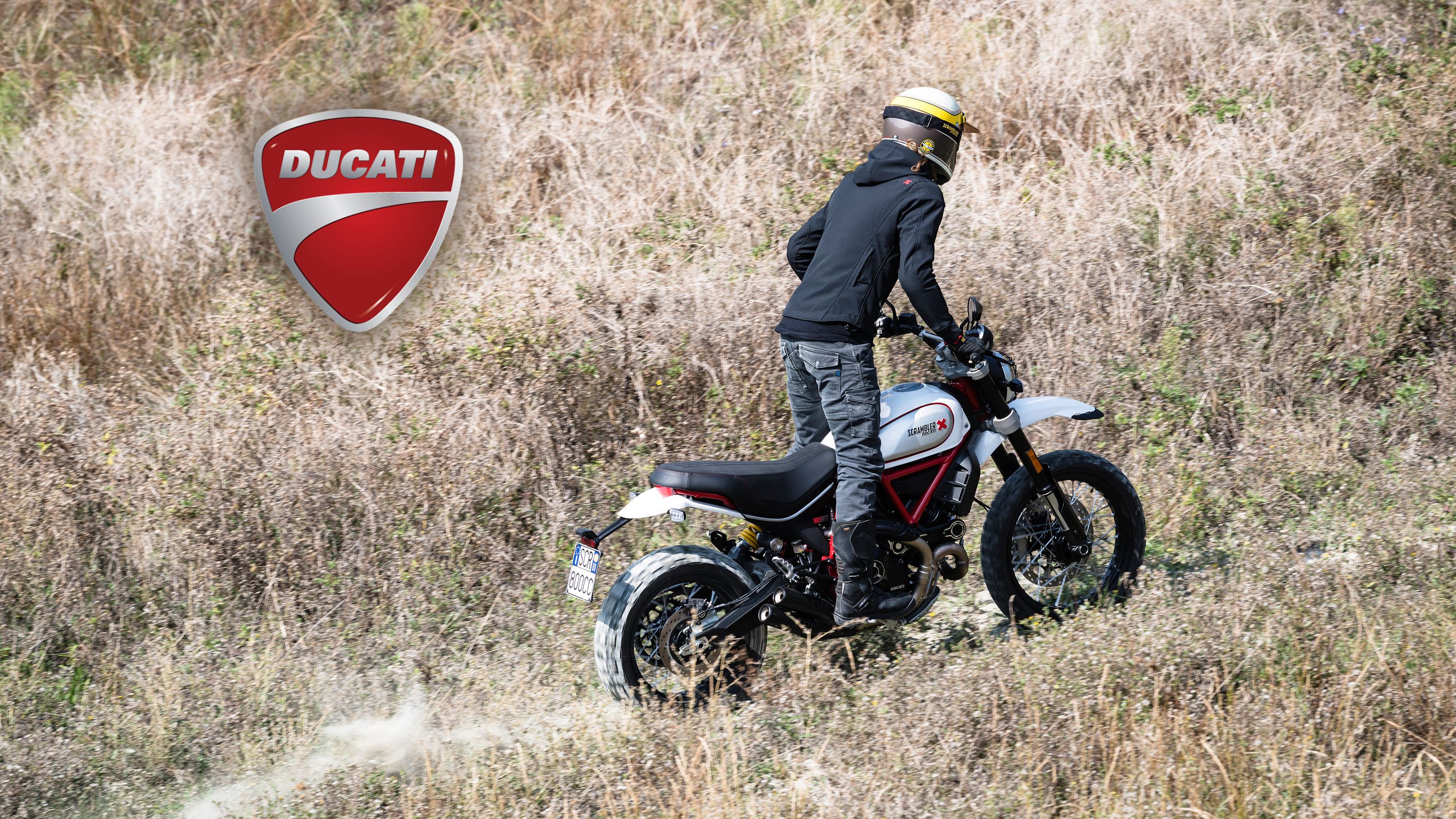 2019 - 2020 Ducati Scrambler Desert Sled