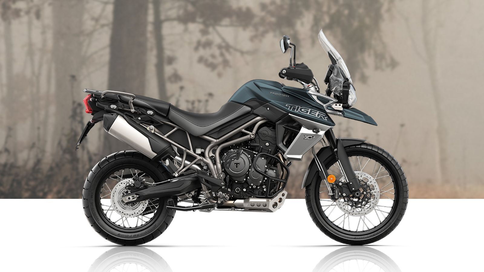 2018 - 2019 Triumph Tiger 800 XCa