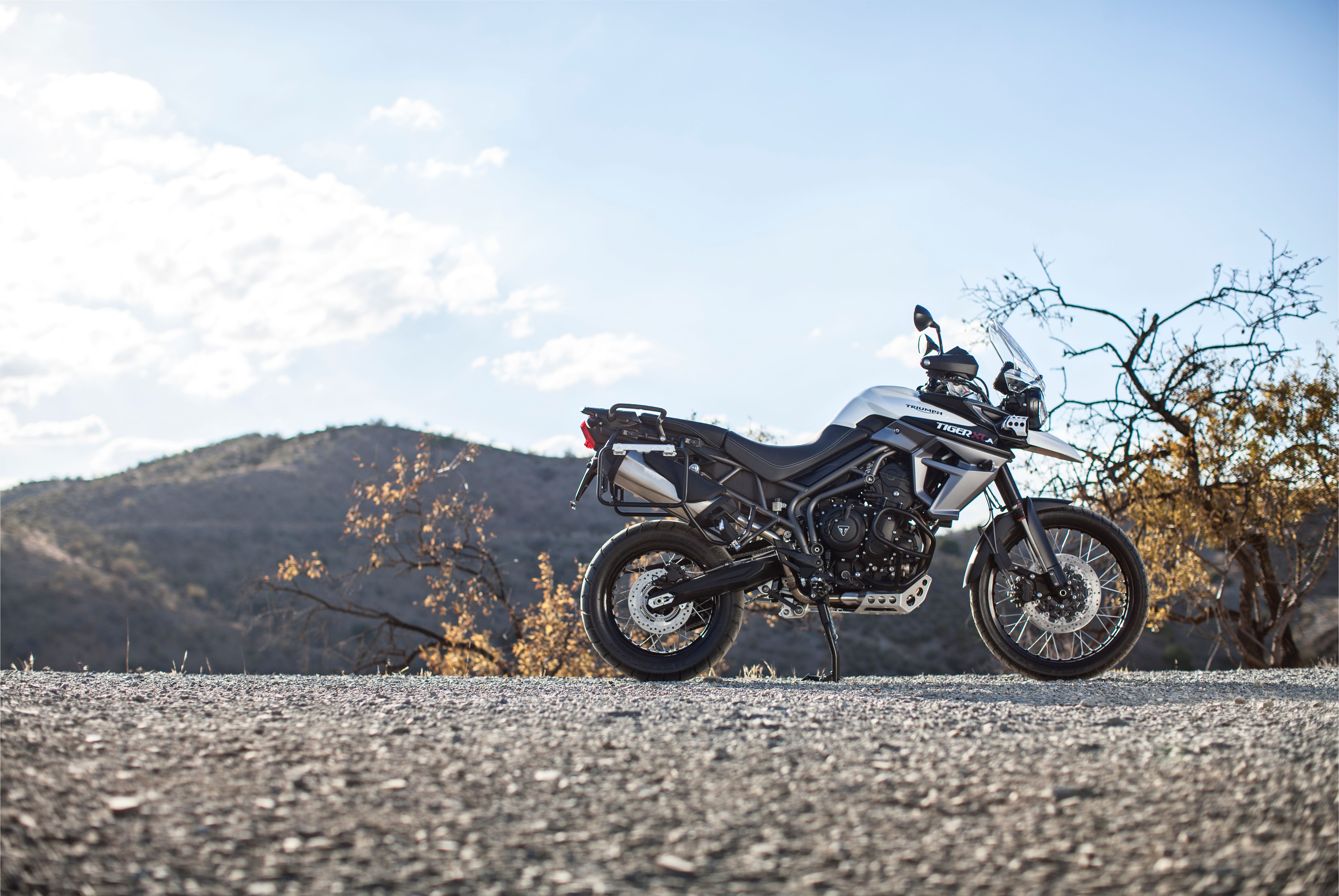 2018 - 2019 Triumph Tiger 800 XCa