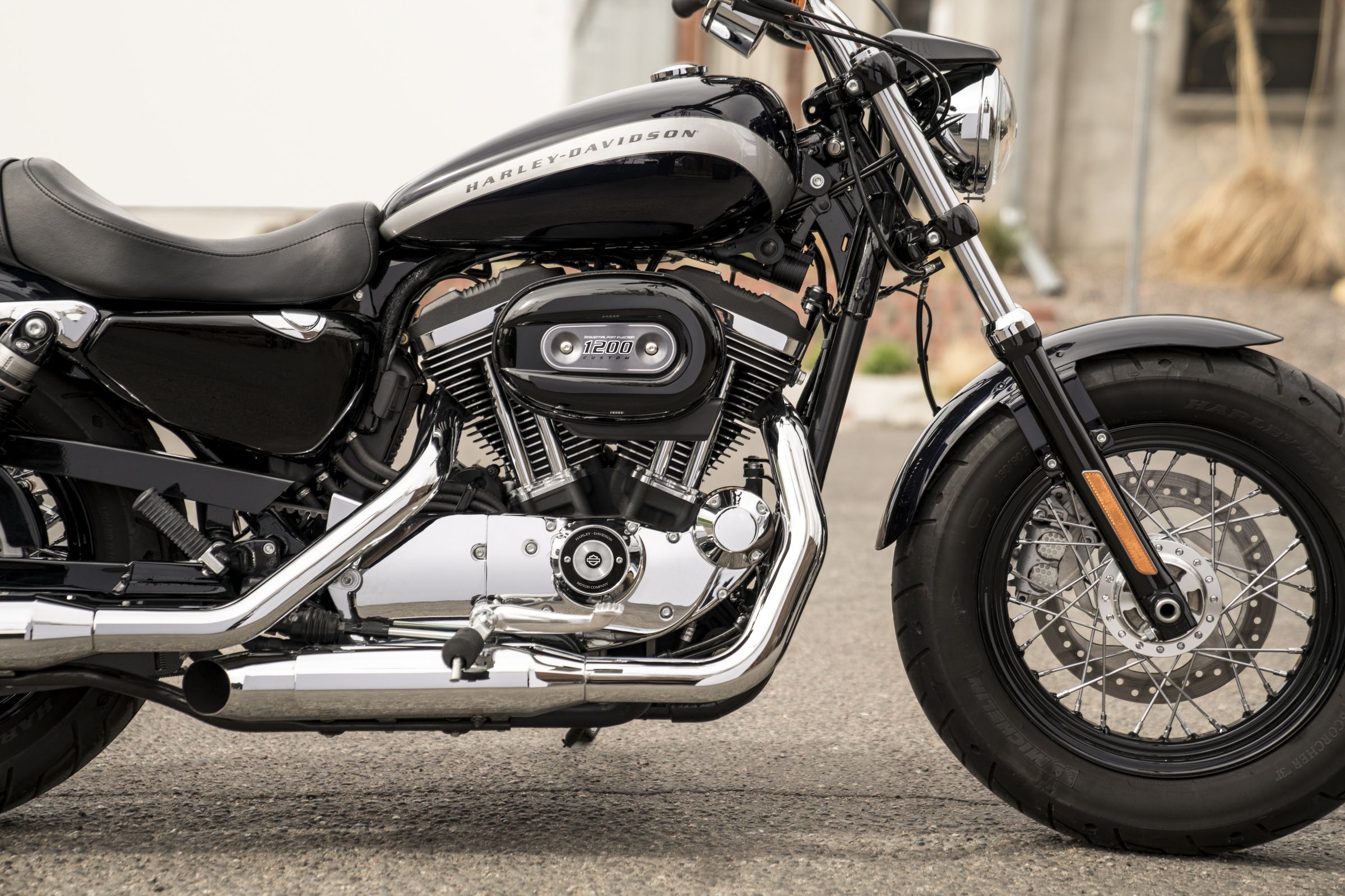 2015 - 2019 Harley-Davidson Sportster 1200 Custom