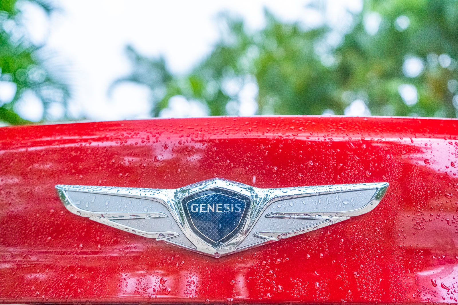 2019 Genesis G70 - Driven