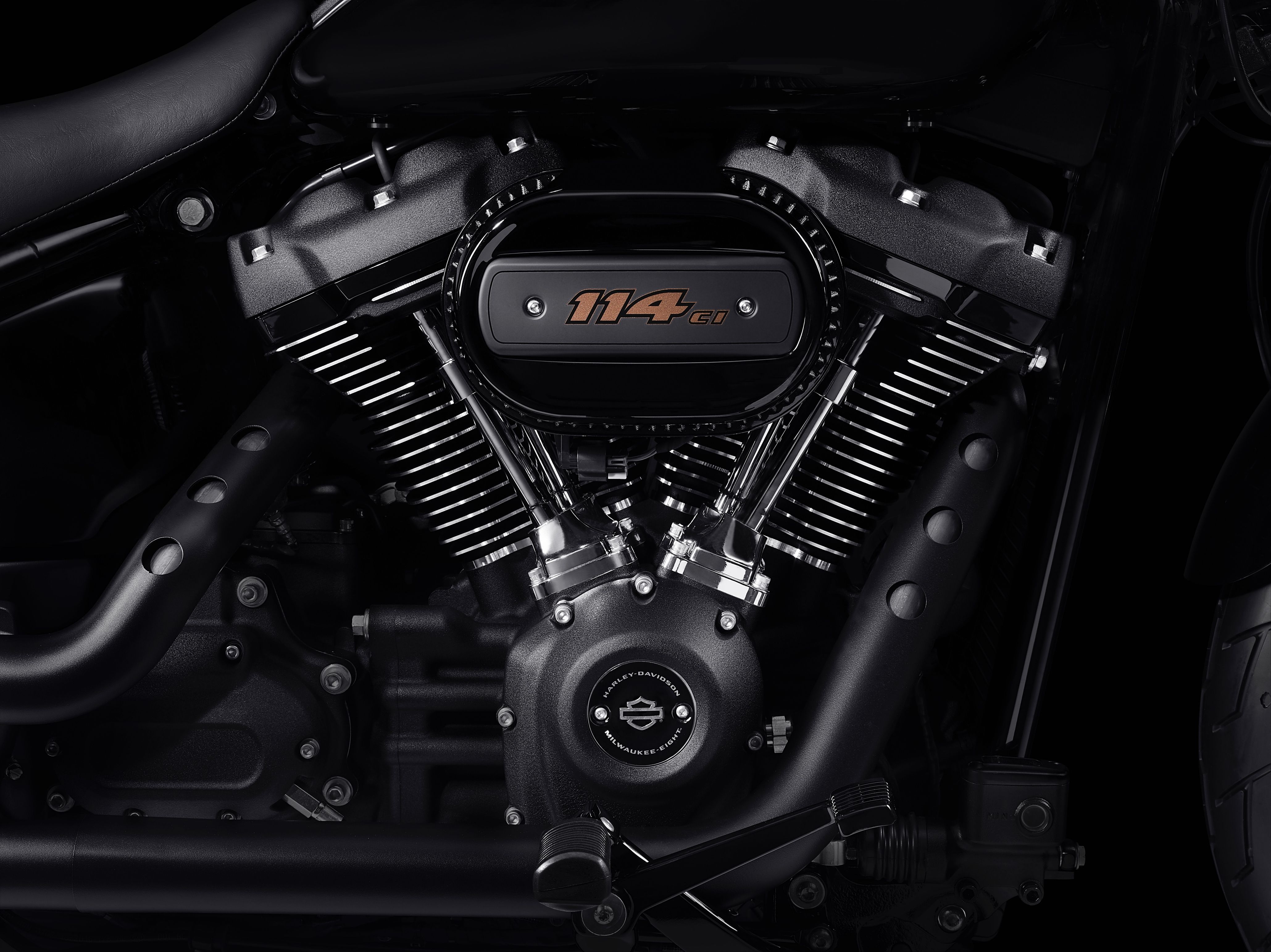2020 - 2021 Harley-Davidson Low Rider S