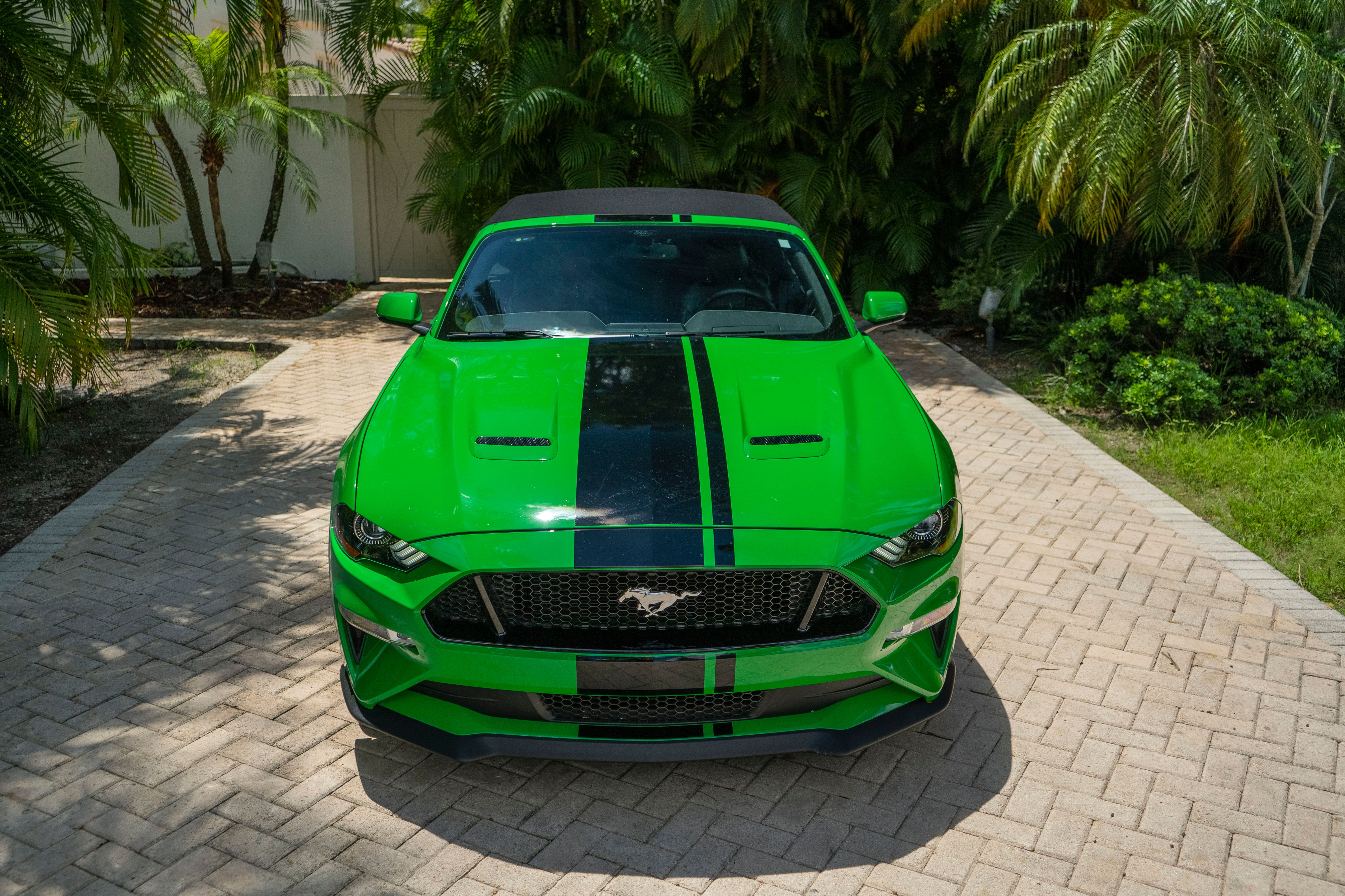 2019 Ford Mustang GT