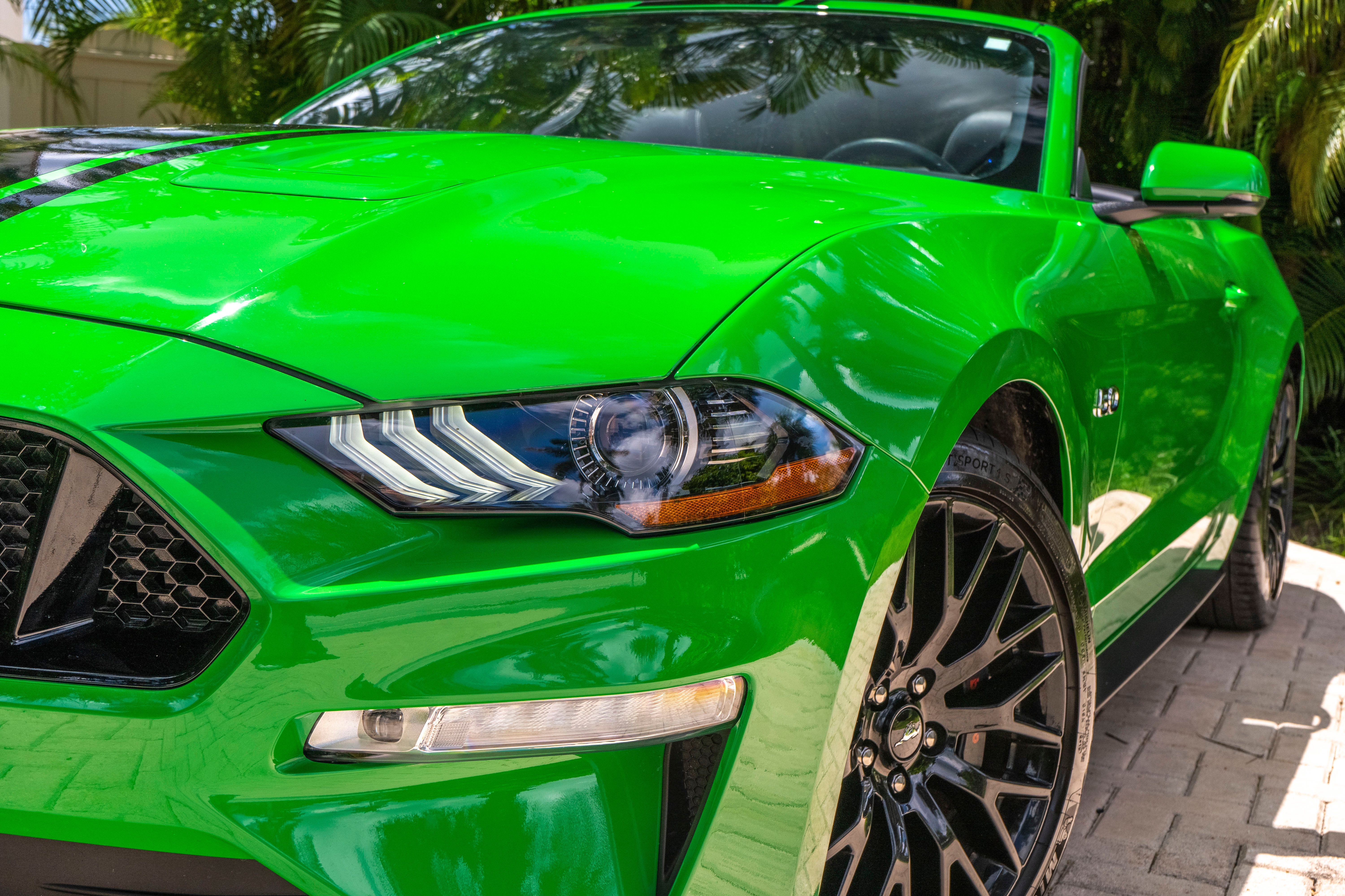 2019 Ford Mustang GT