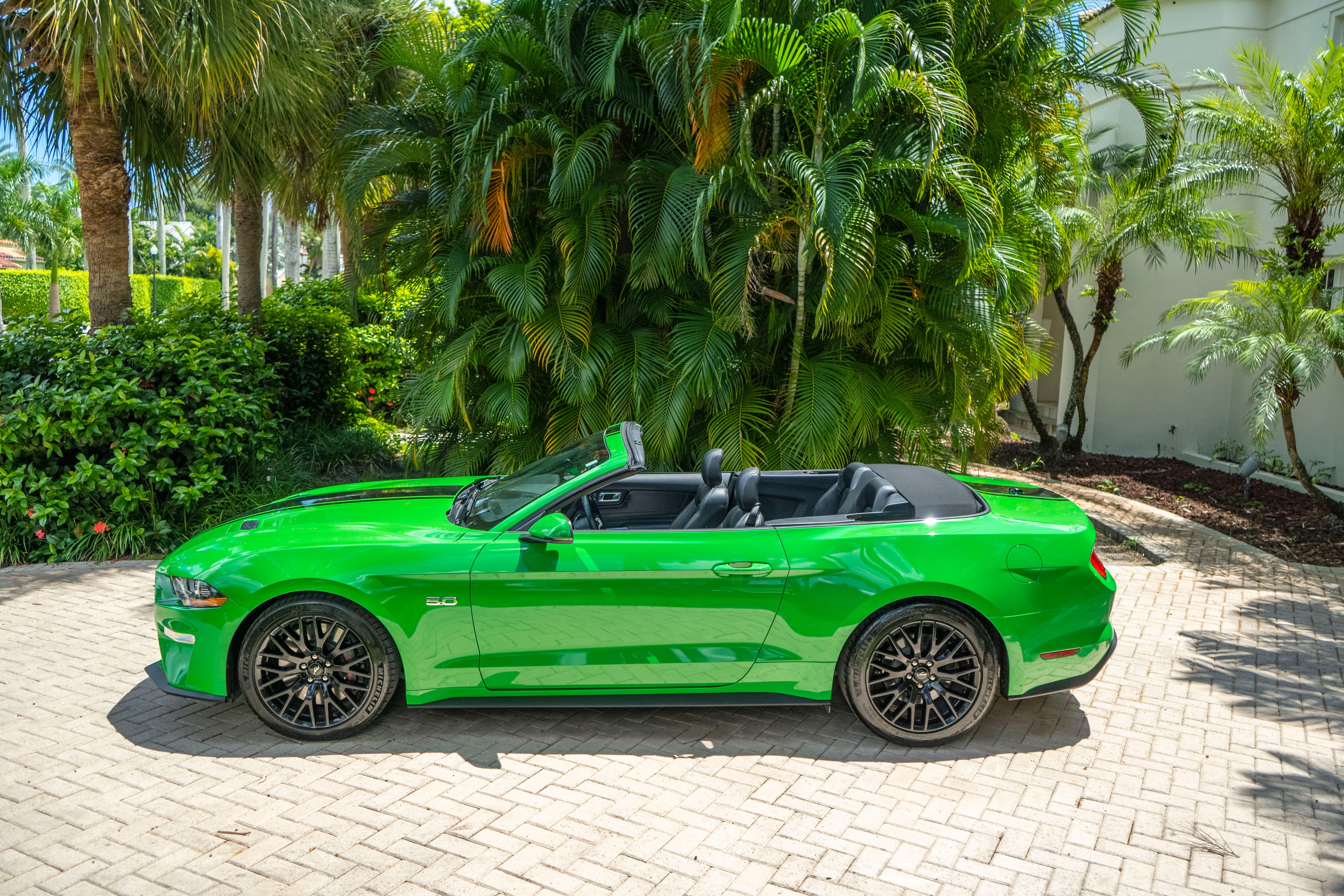 2019 Ford Mustang GT