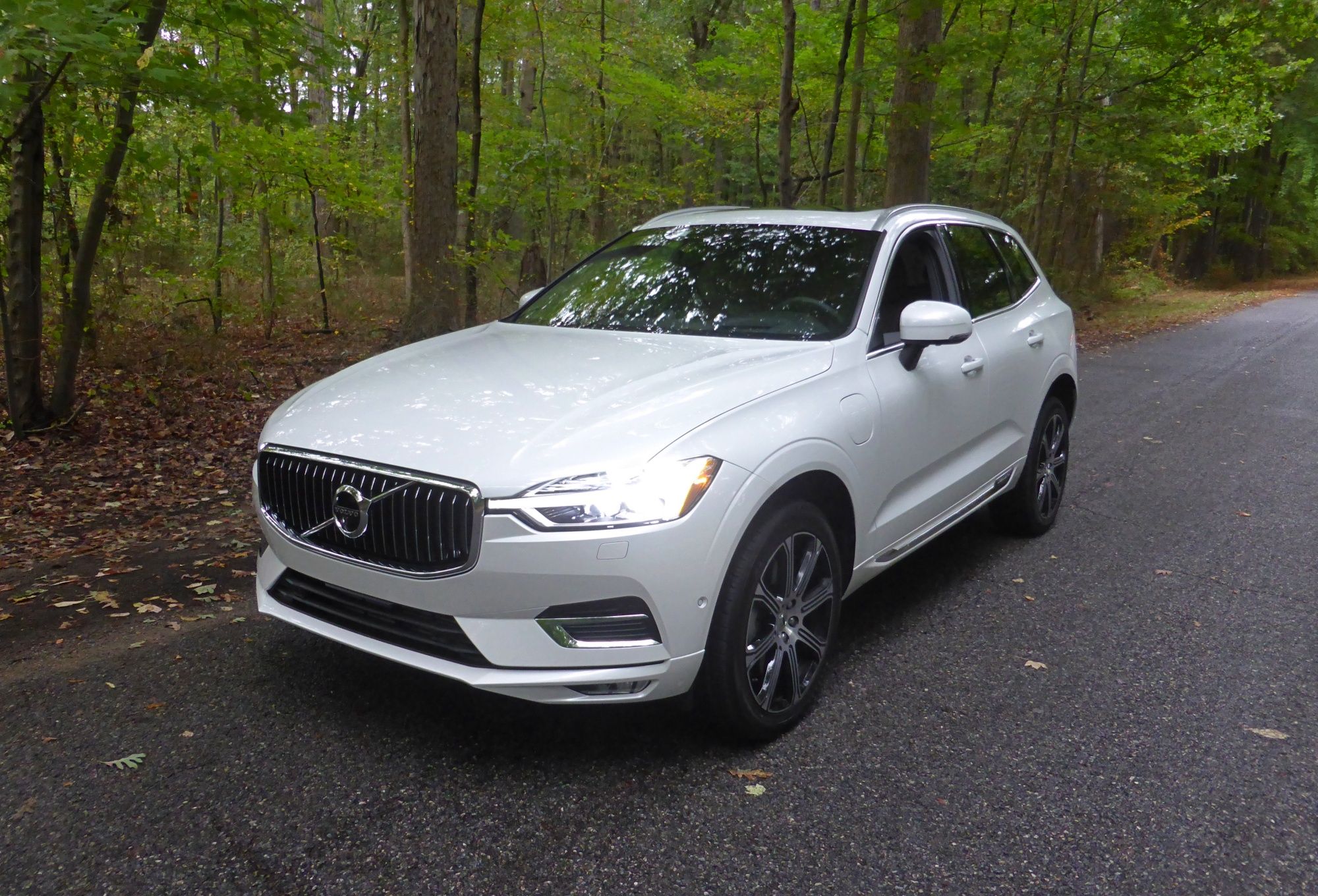 2019 Infiniti QX50 - Driven