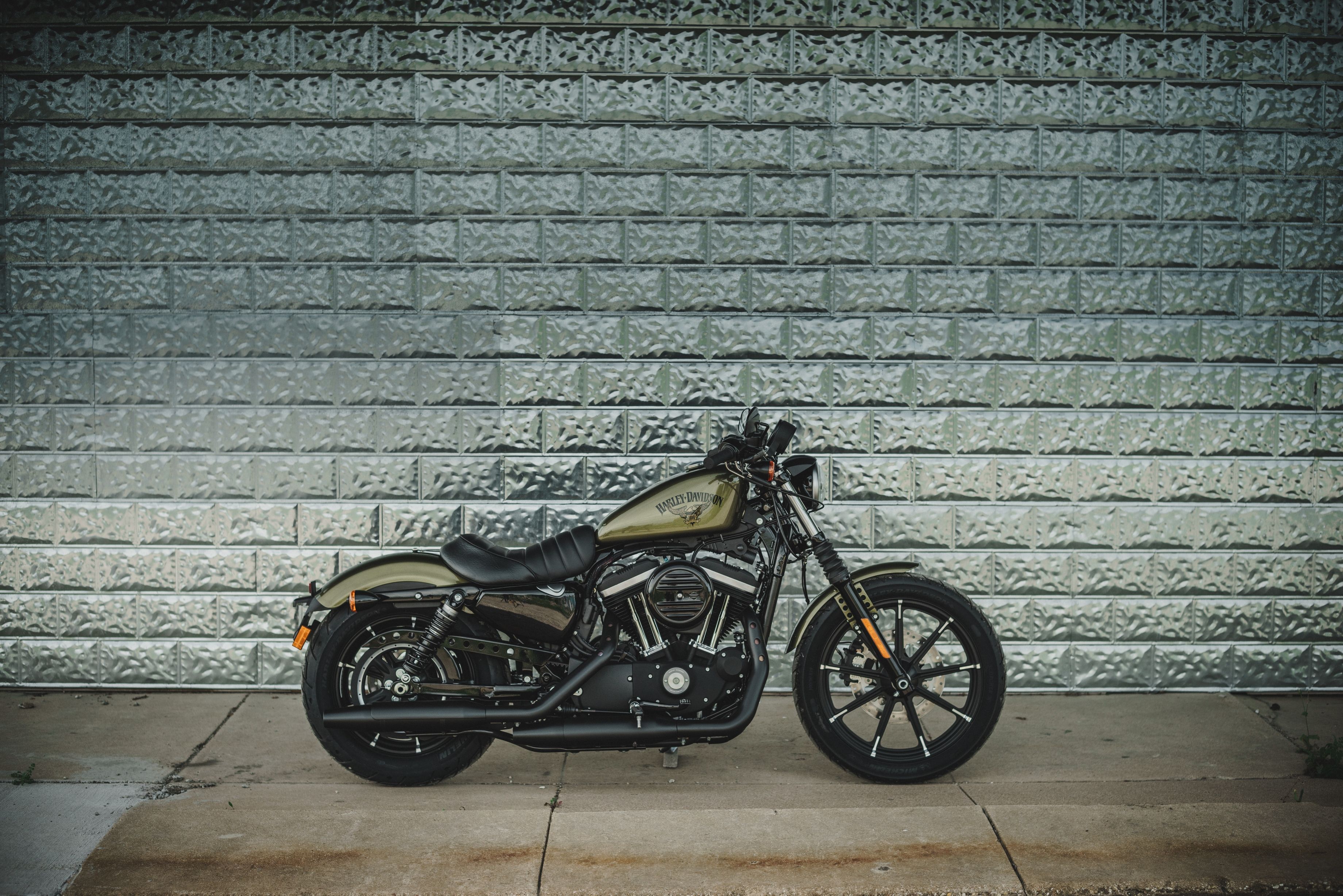 2016 - 2022 Harley-Davidson Iron 883