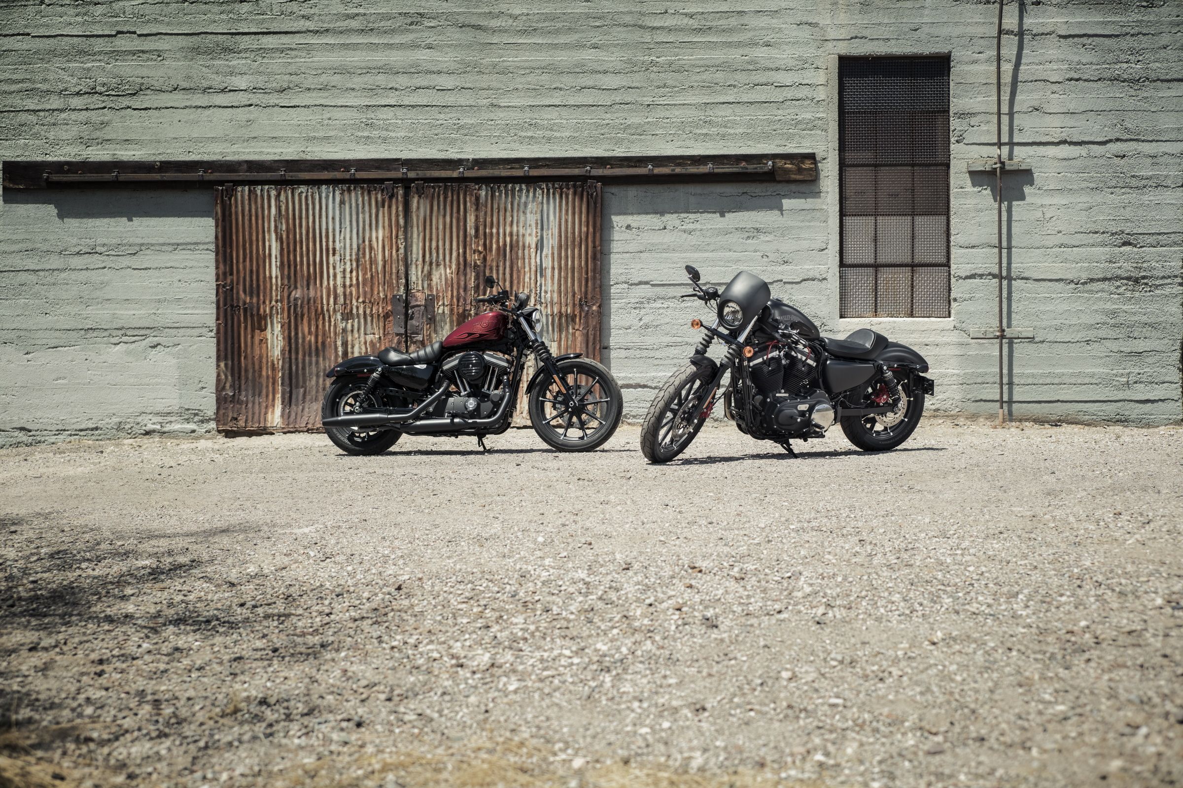 2016 - 2022 Harley-Davidson Iron 883