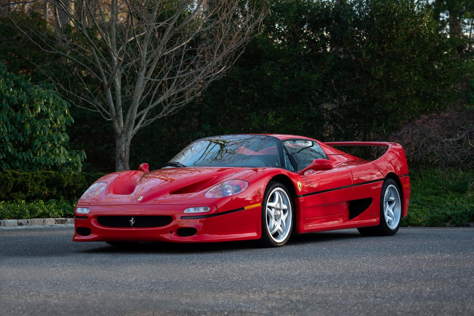 F 50