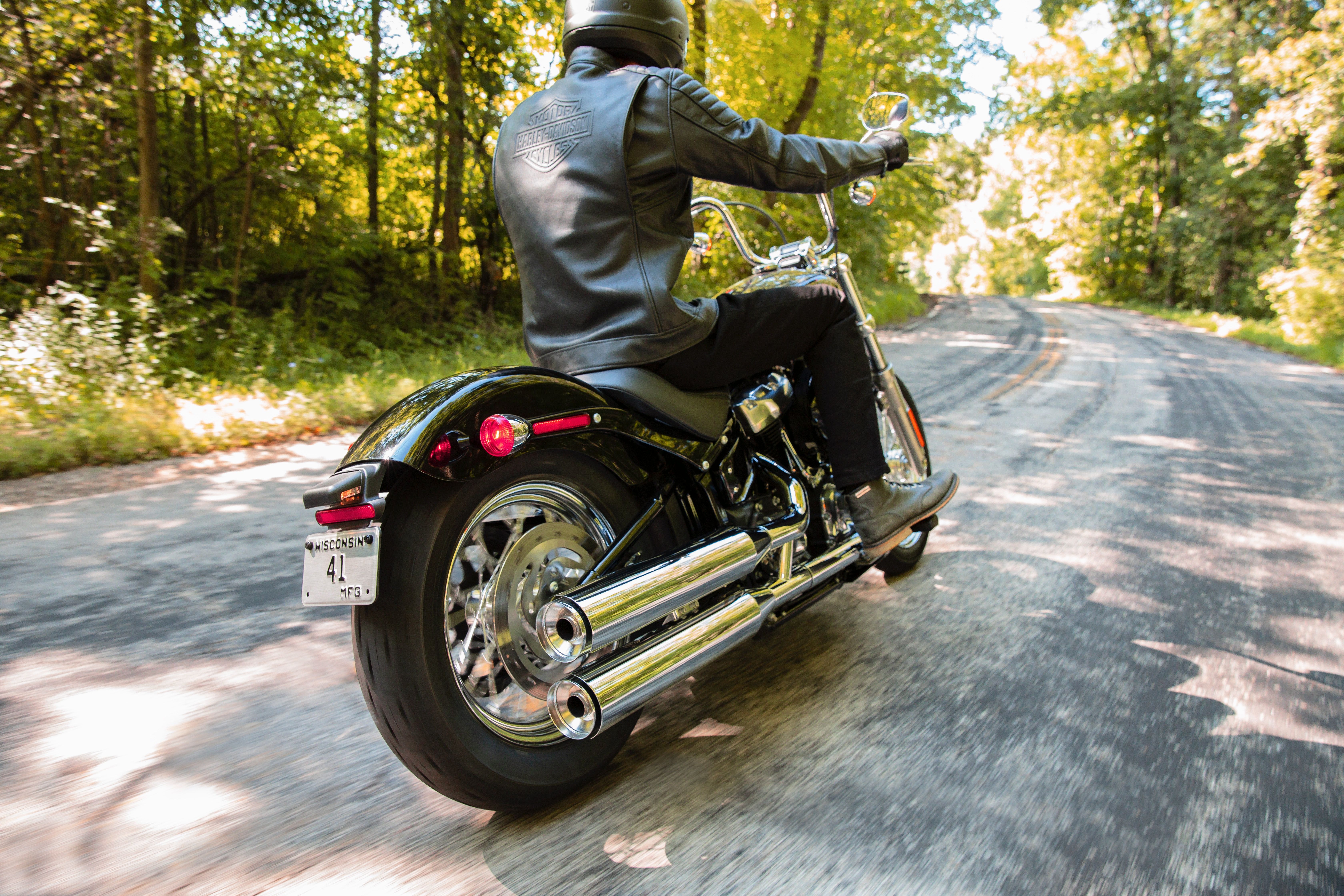 2020 - 2021 Harley-Davidson Softail Standard