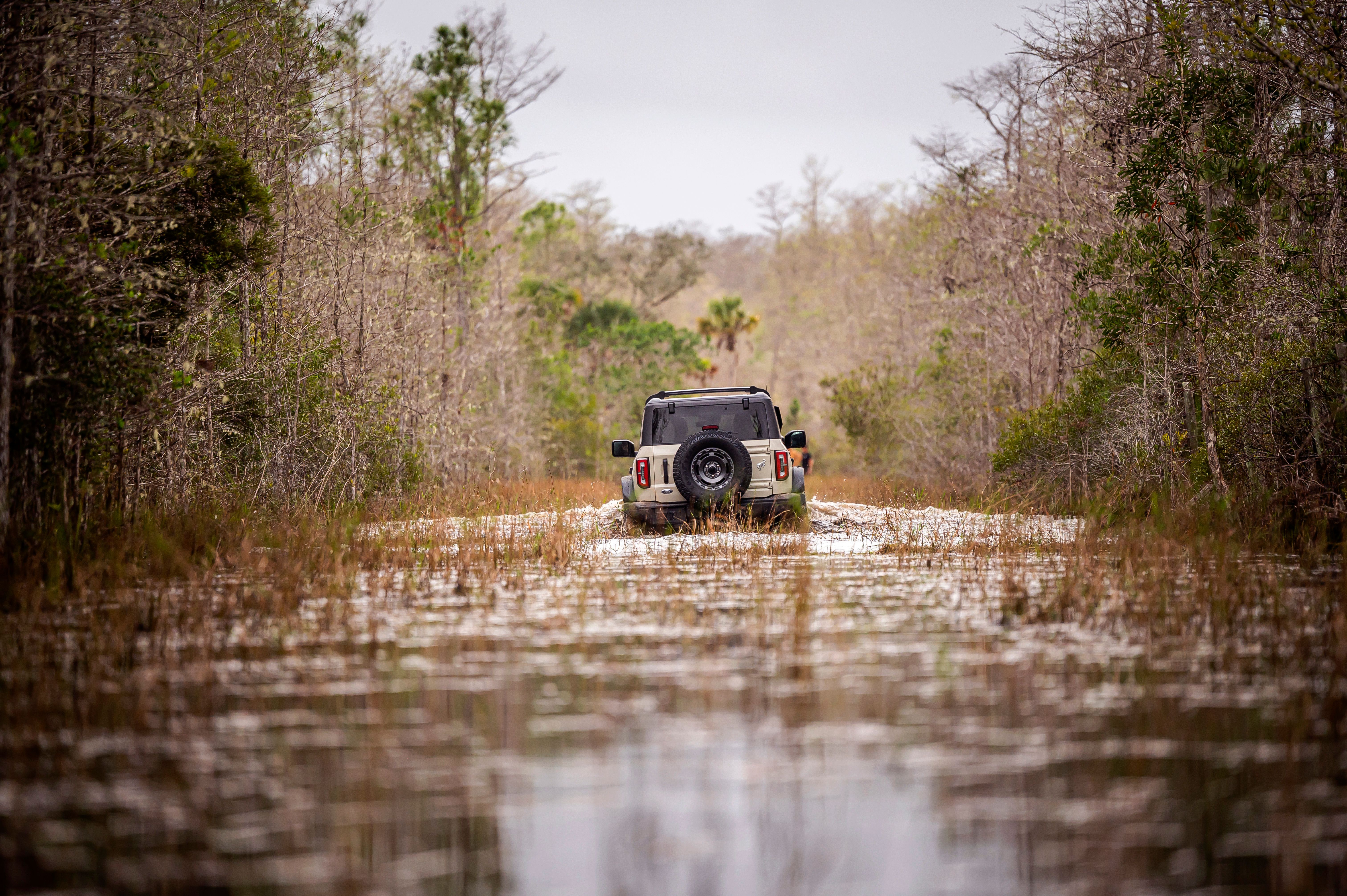 2022 Ford Unleashes The 2022 Bronco Everglades With A Snorkel!