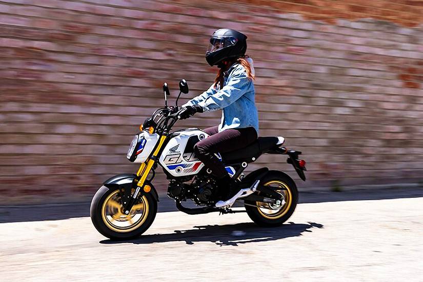 10 Reasons Why The Honda Grom Is The Best Mini Bike