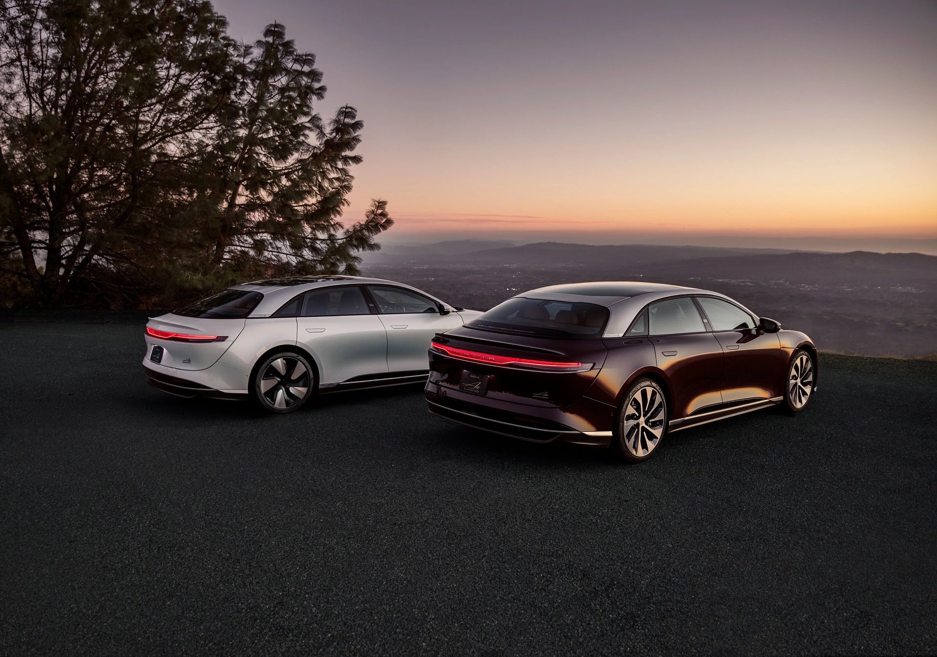 White and Brown Lucid Motors 