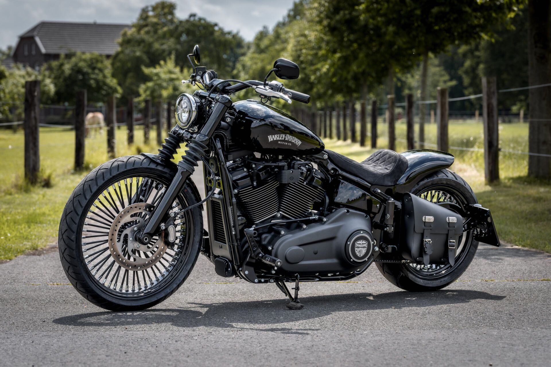 Custom Harley-Davidson Street Bob Looks Devilish In Its All