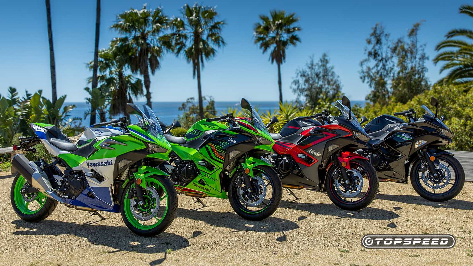 2024 Kawasaki Ninja 500 Lineup