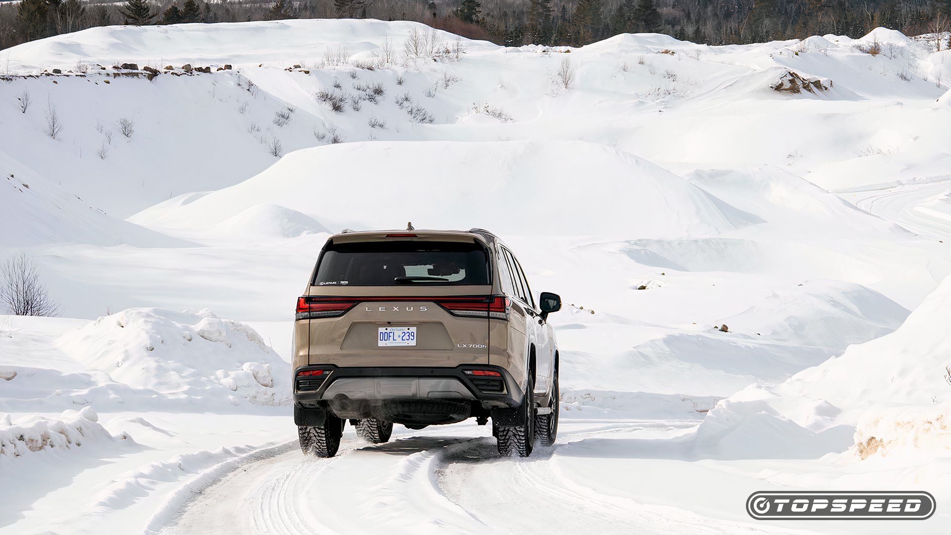 Learn About Lexus At New York City Pop-Up Showroom
