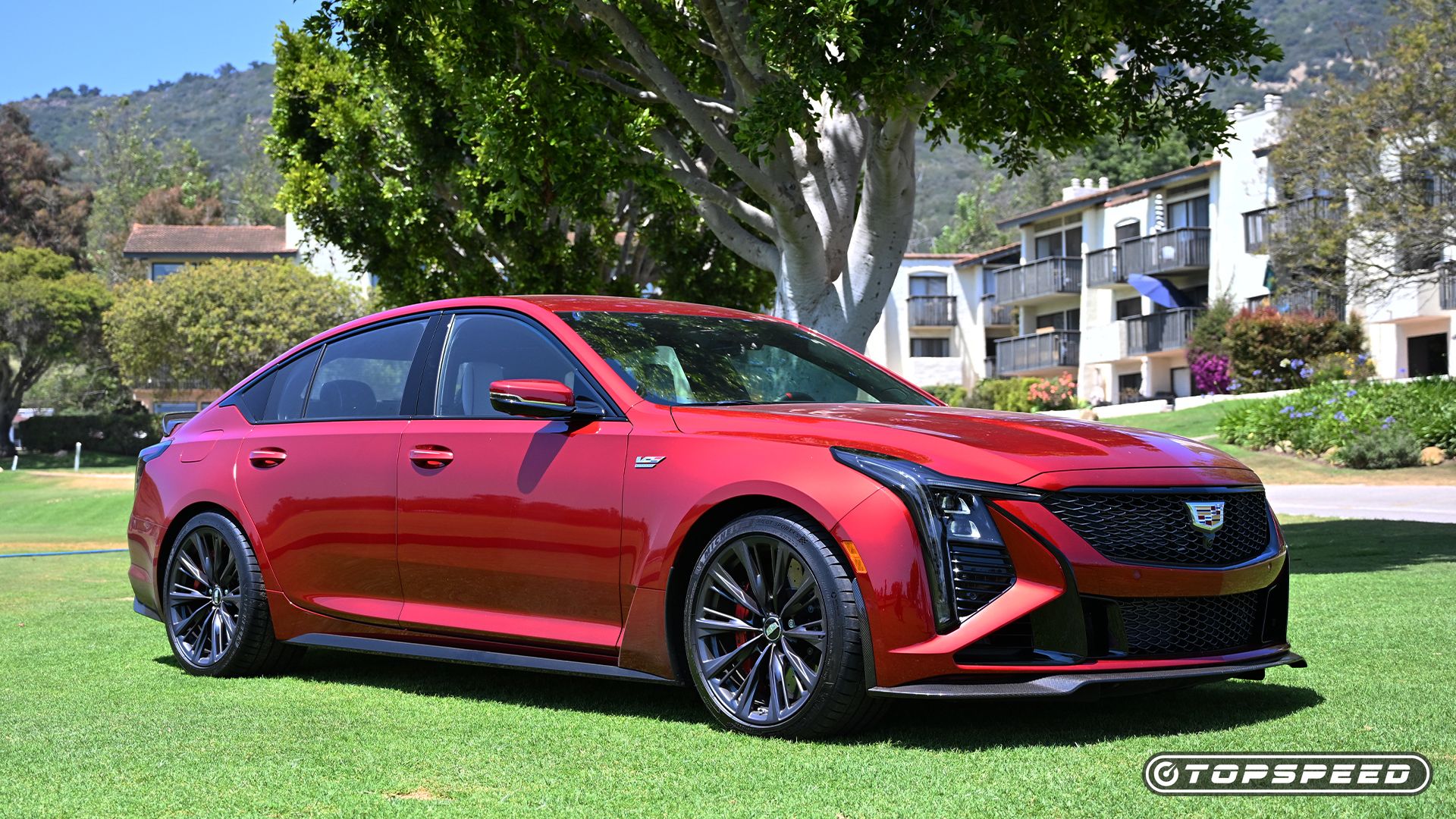 Cadillac's 