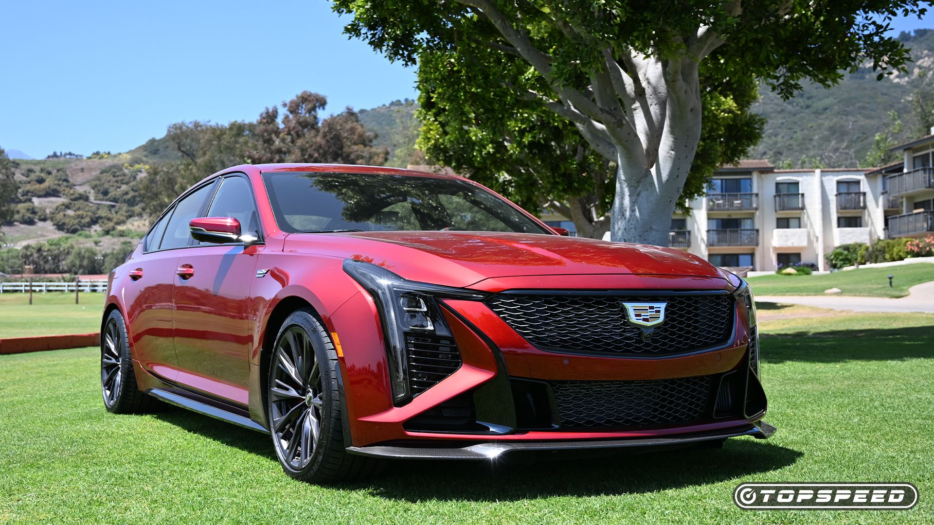 Cadillac's 